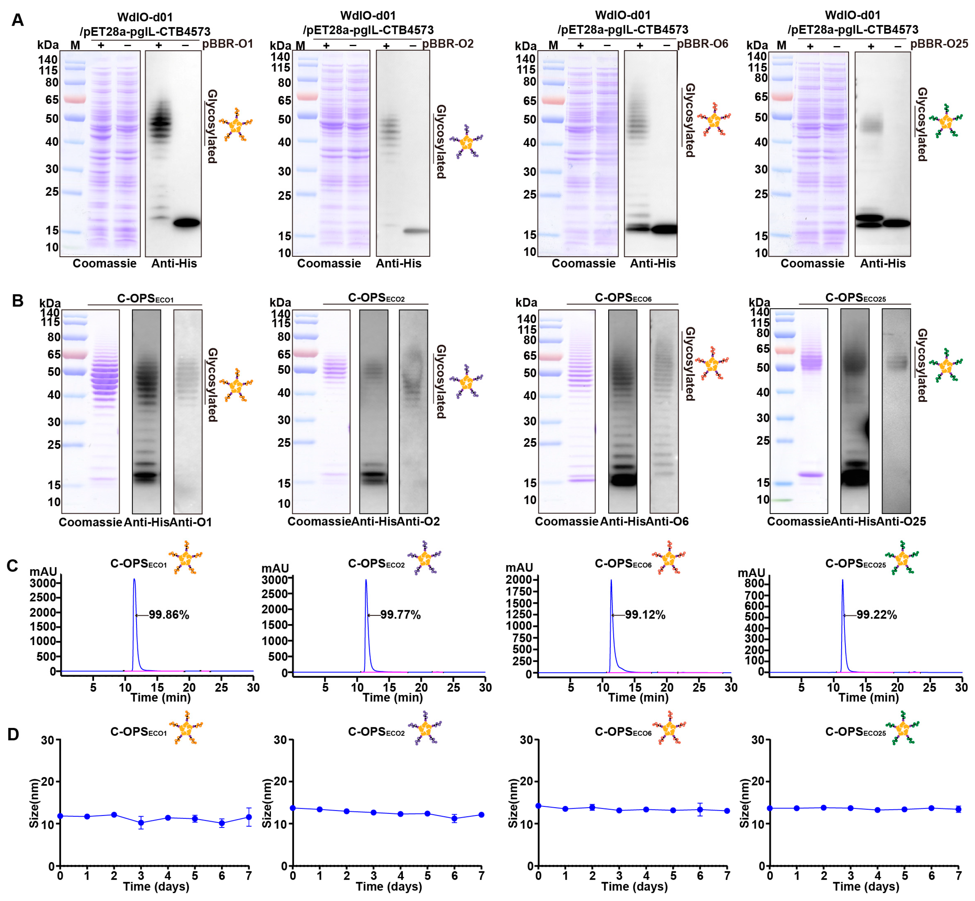 Vaccines 13 00362 g002
