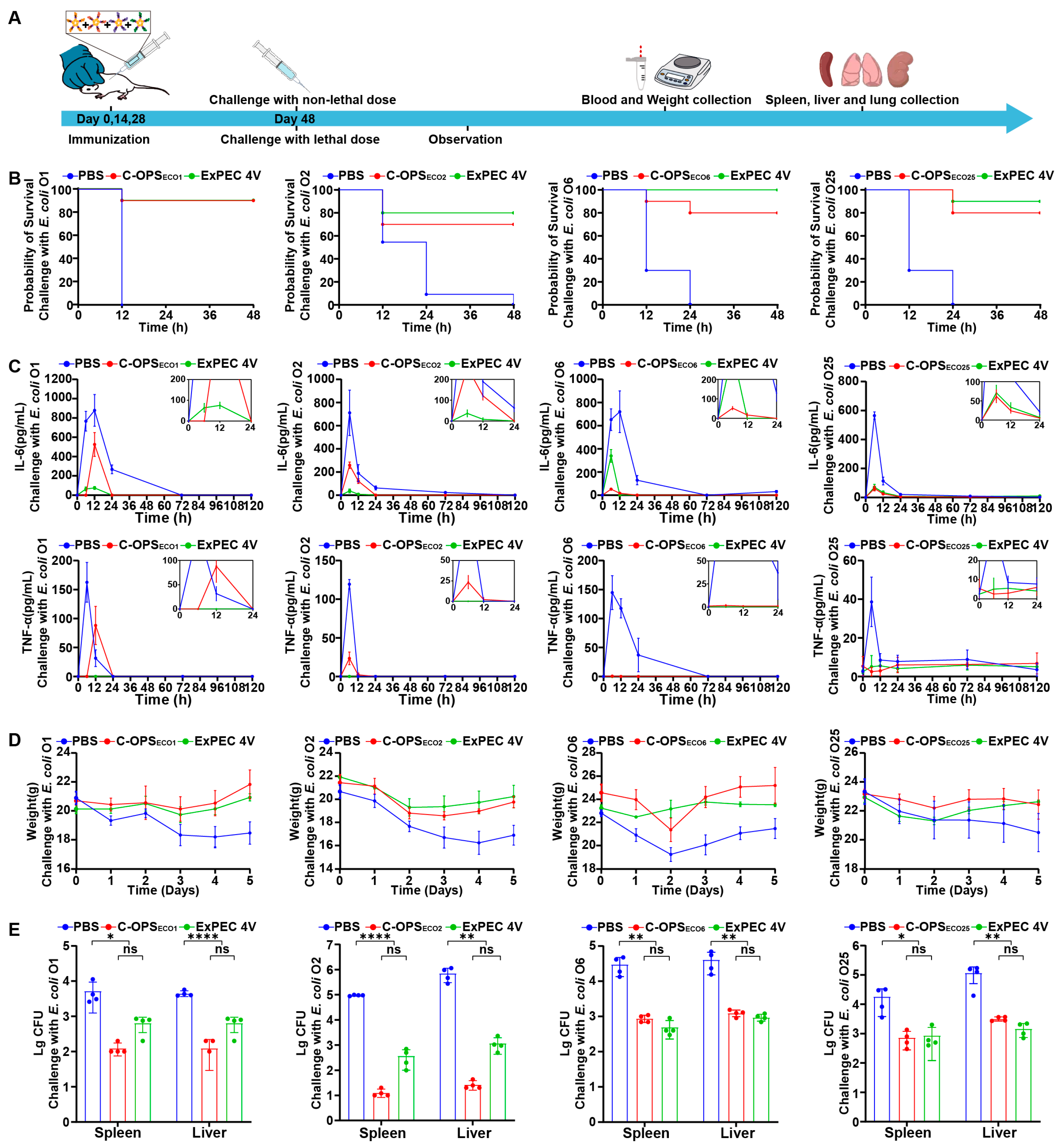 Vaccines 13 00362 g006