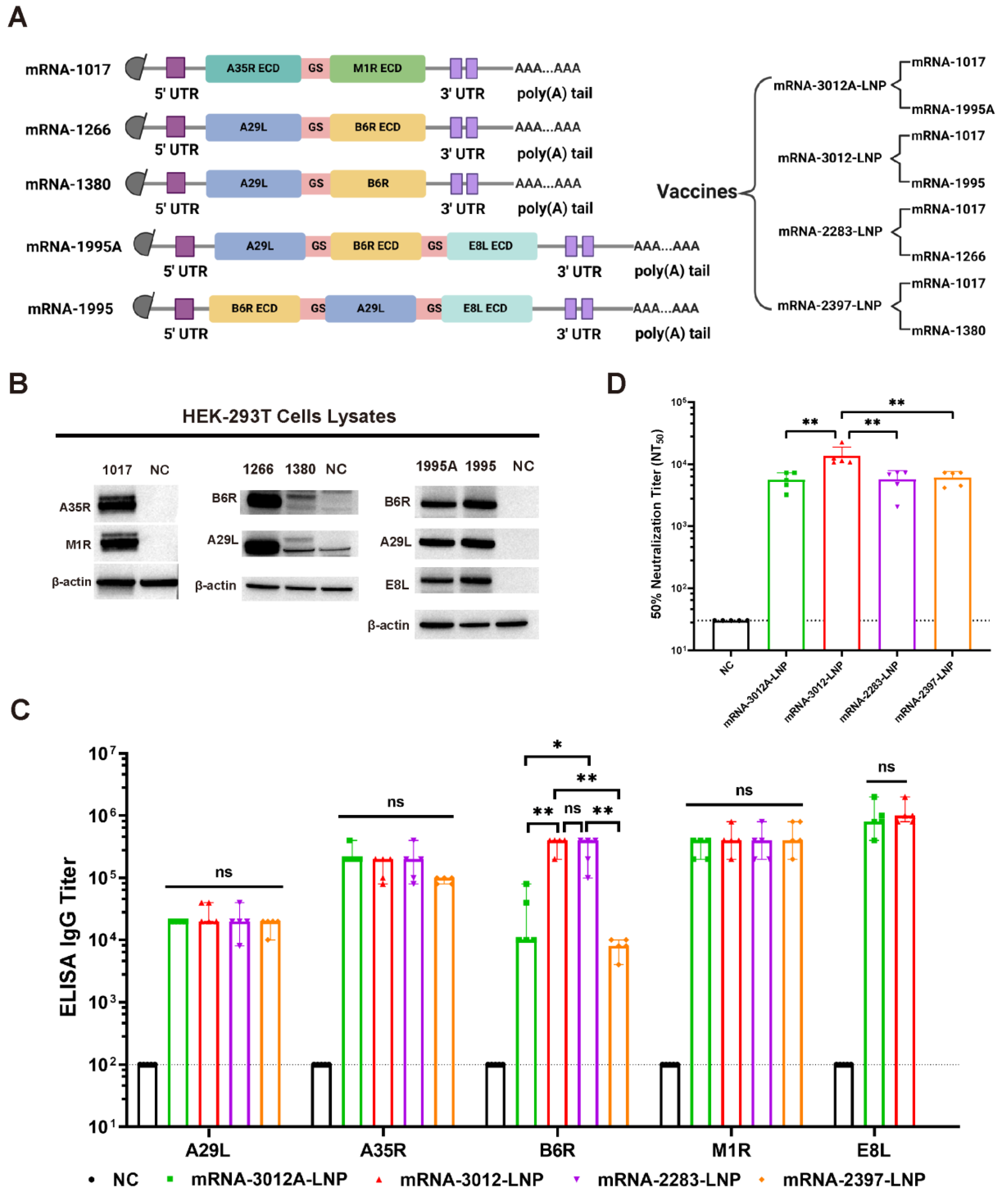 Vaccines 13 00374 g001