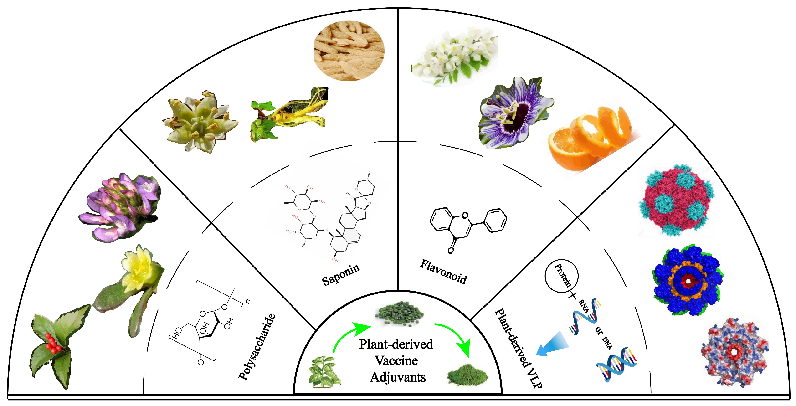 Vaccines 13 00378 g001