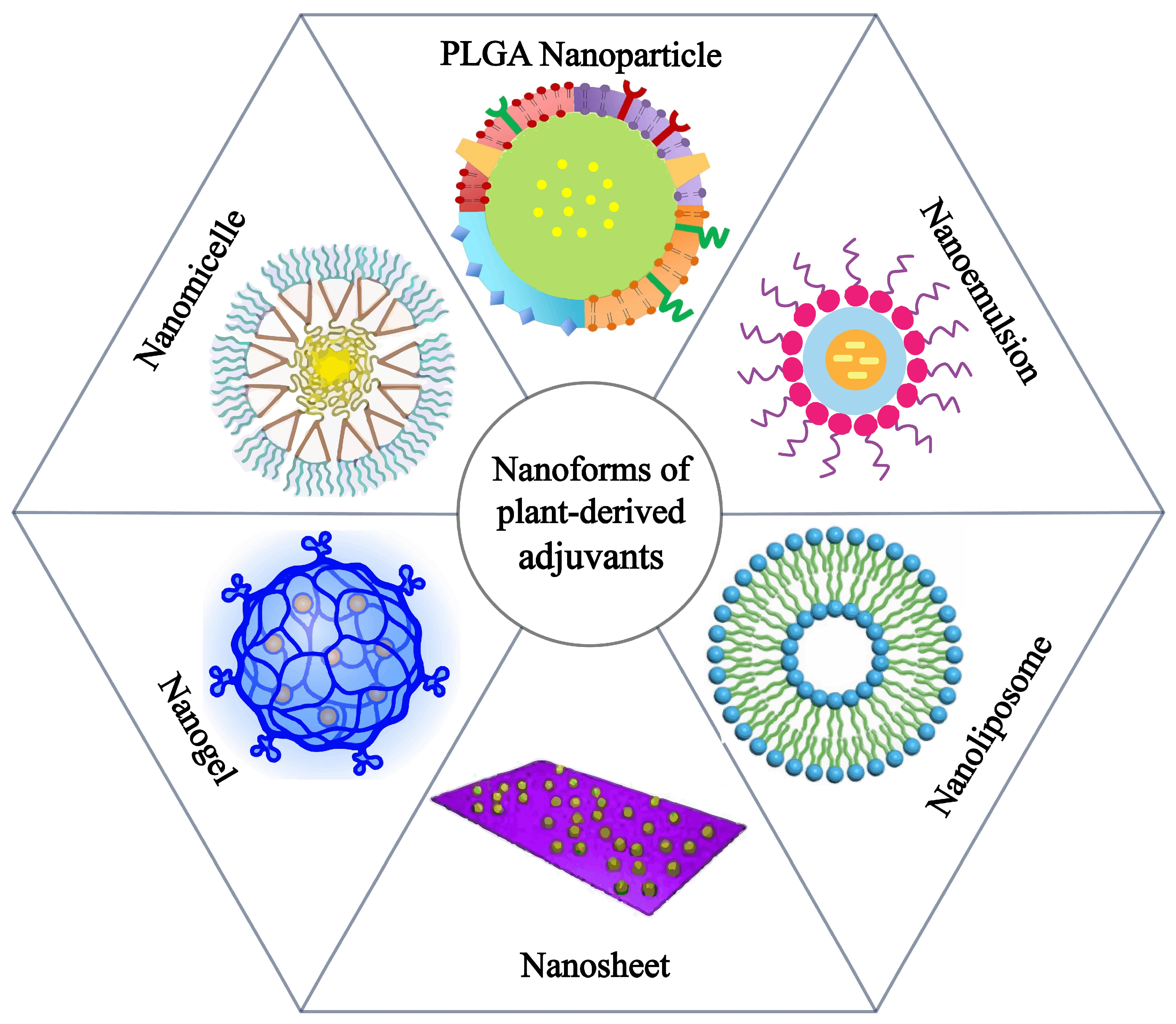 Vaccines 13 00378 g002