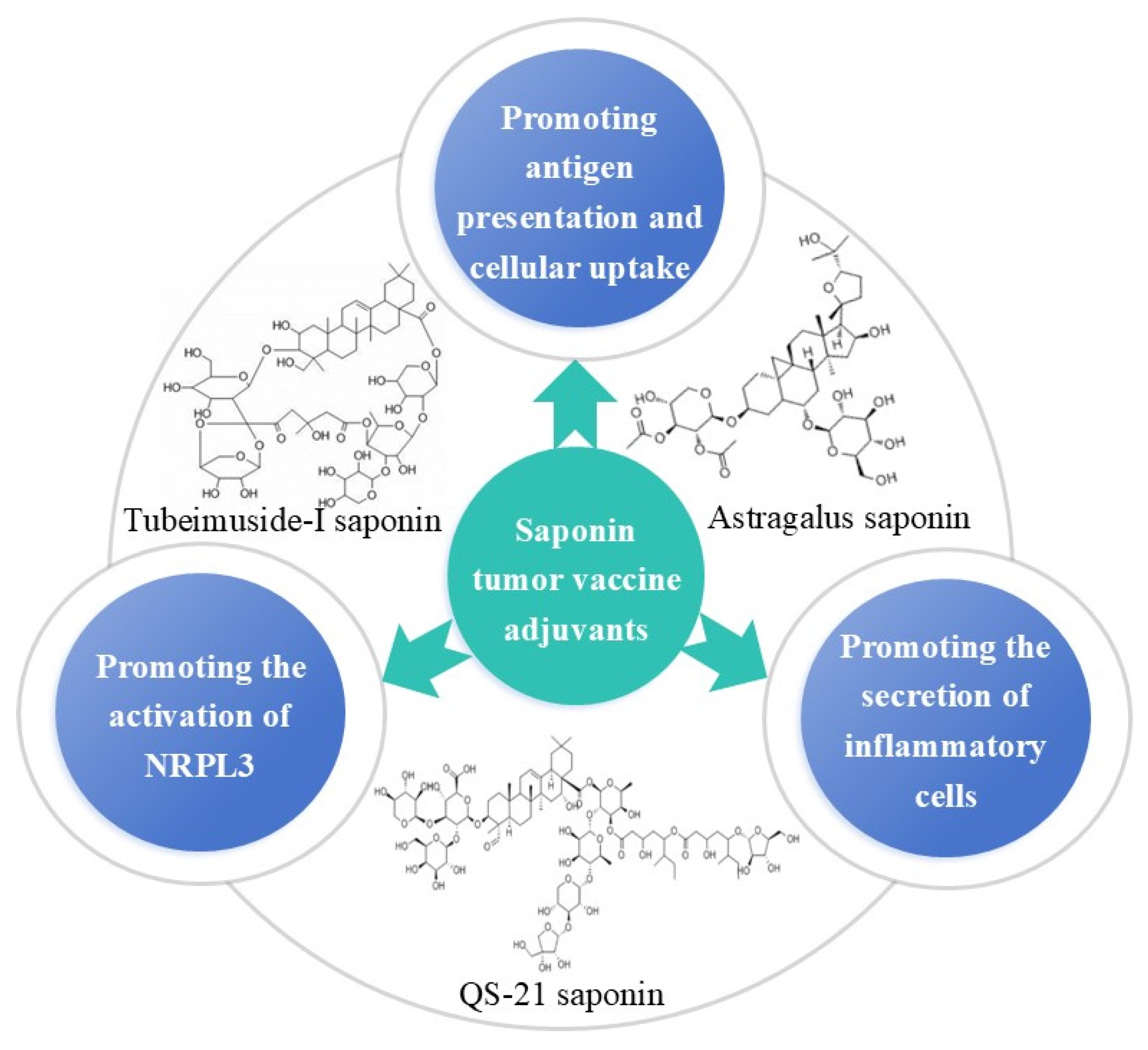 Vaccines 13 00378 g004