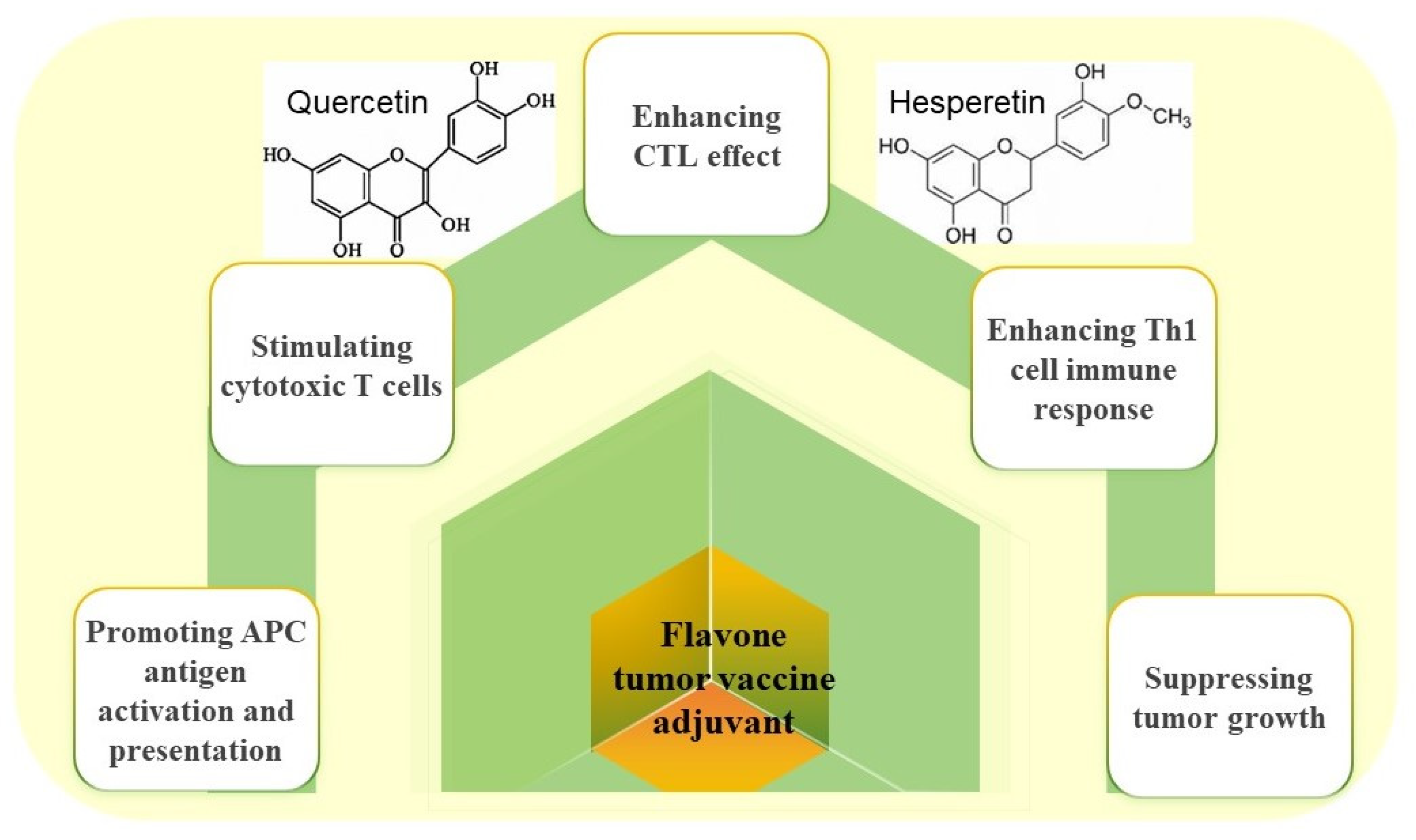 Vaccines 13 00378 g005