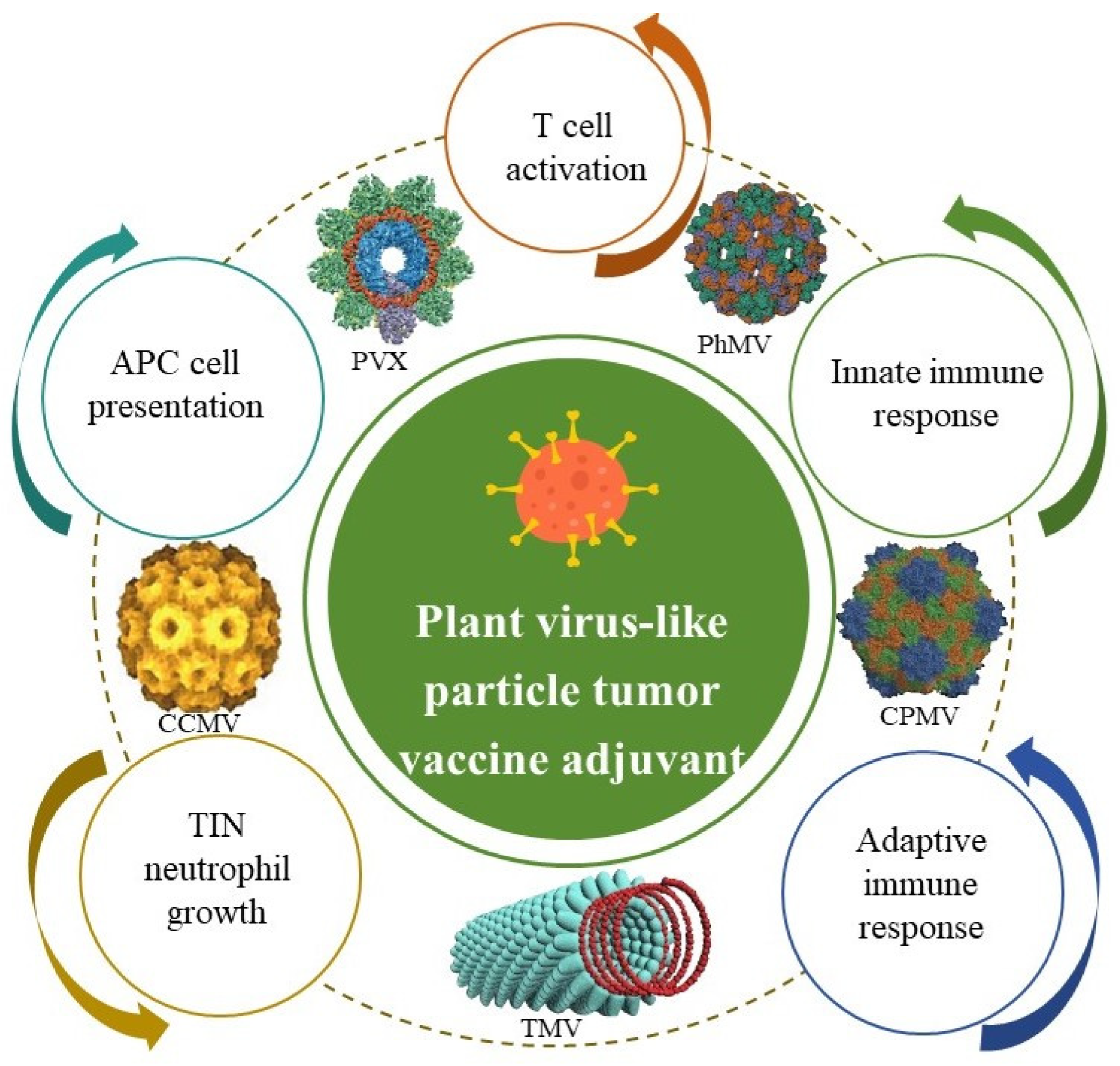 Vaccines 13 00378 g006