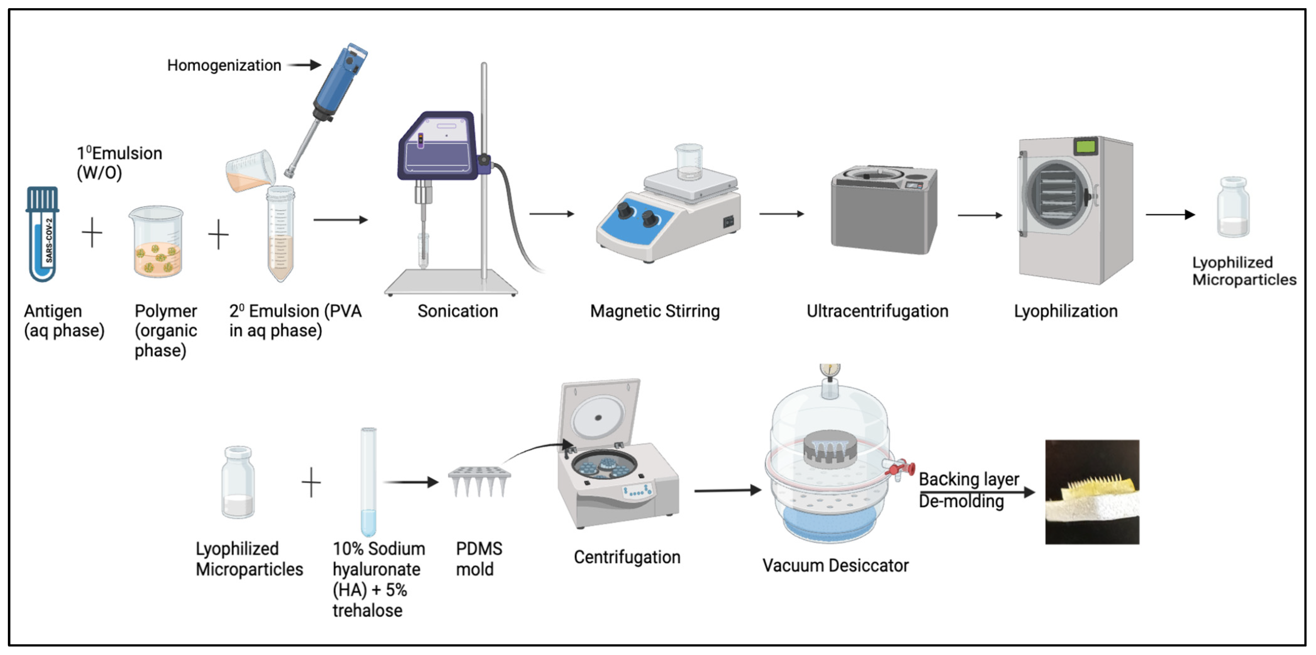 Vaccines 13 00380 g002