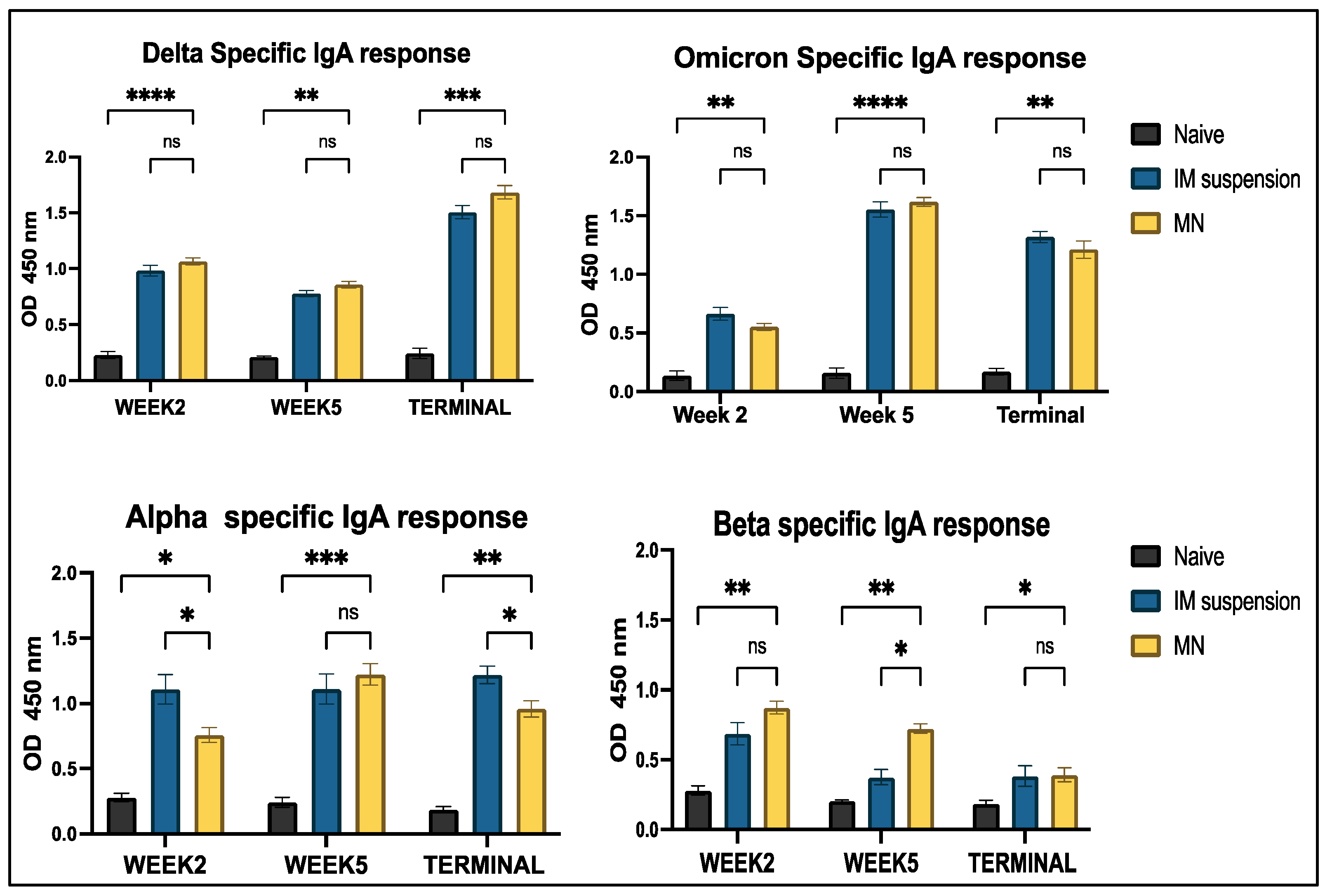Vaccines 13 00380 g008
