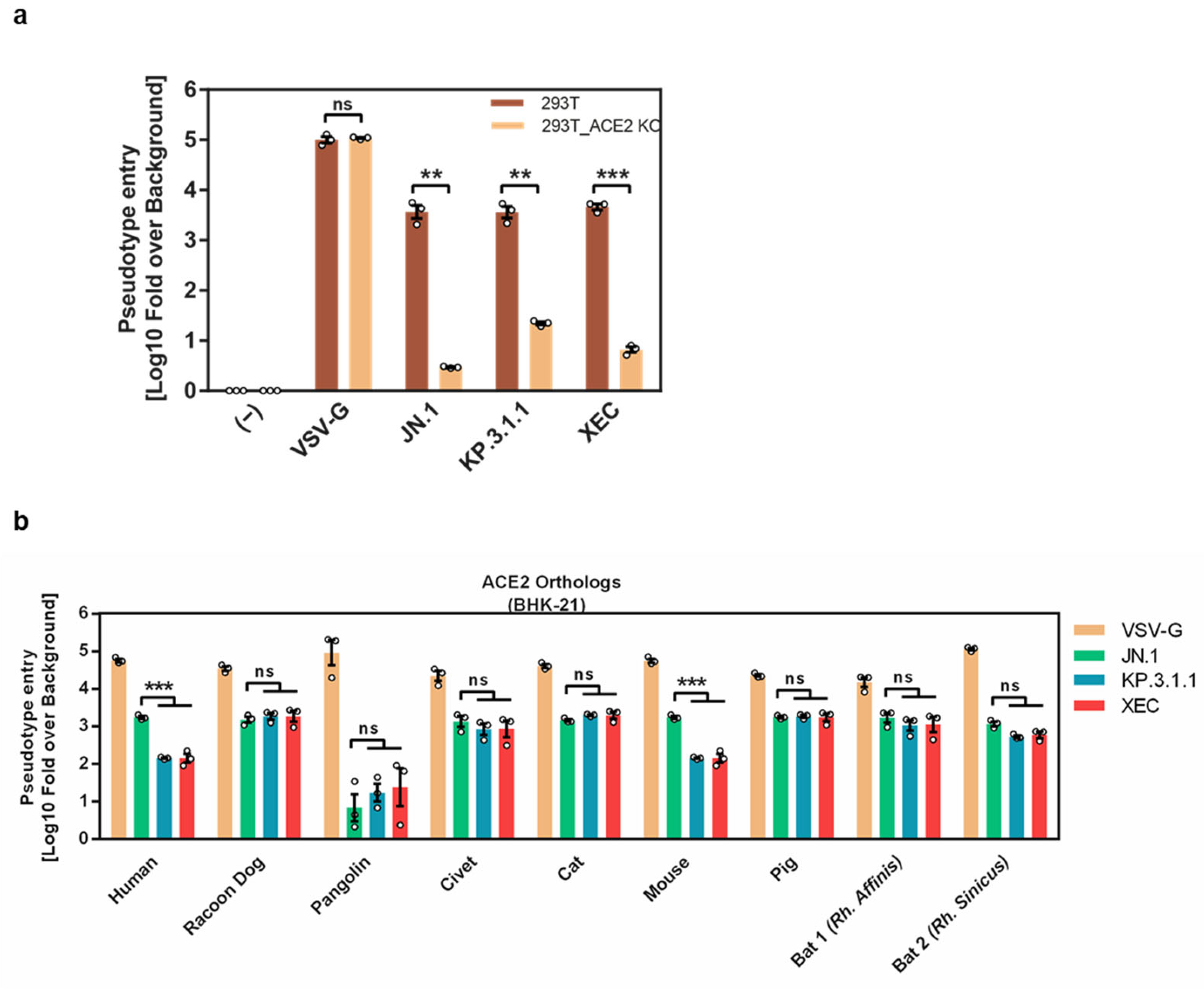Vaccines 13 00385 g003