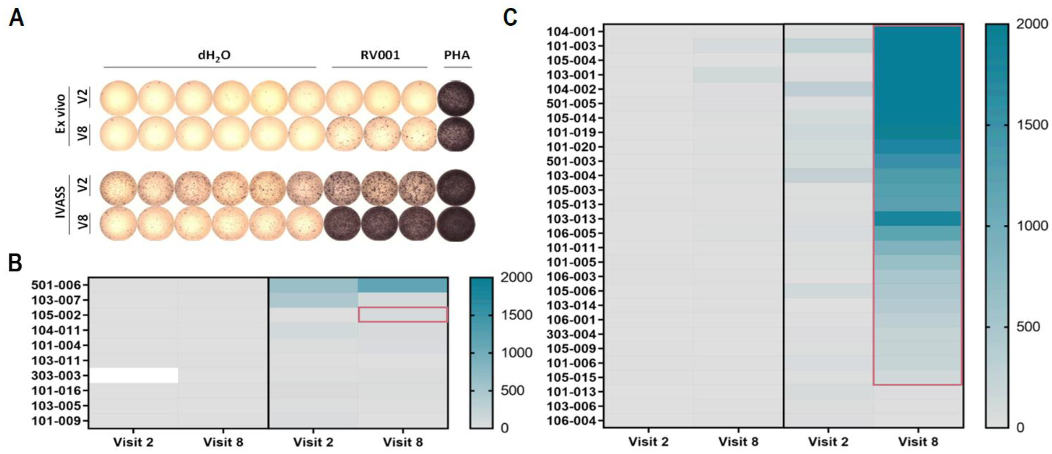Vaccines 13 00390 g003 Vaccines 13 00390 g003