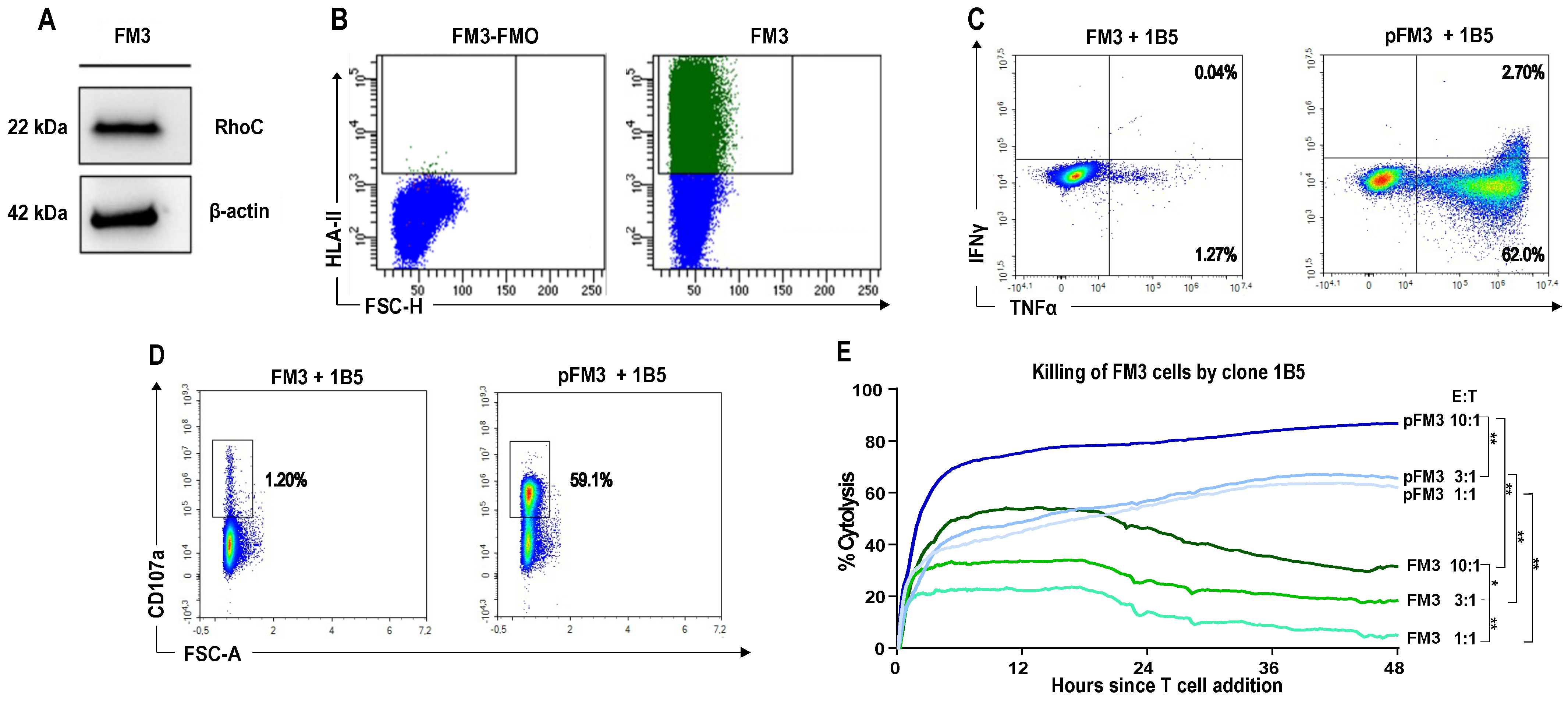 Vaccines 13 00390 g005 Vaccines 13 00390 g005