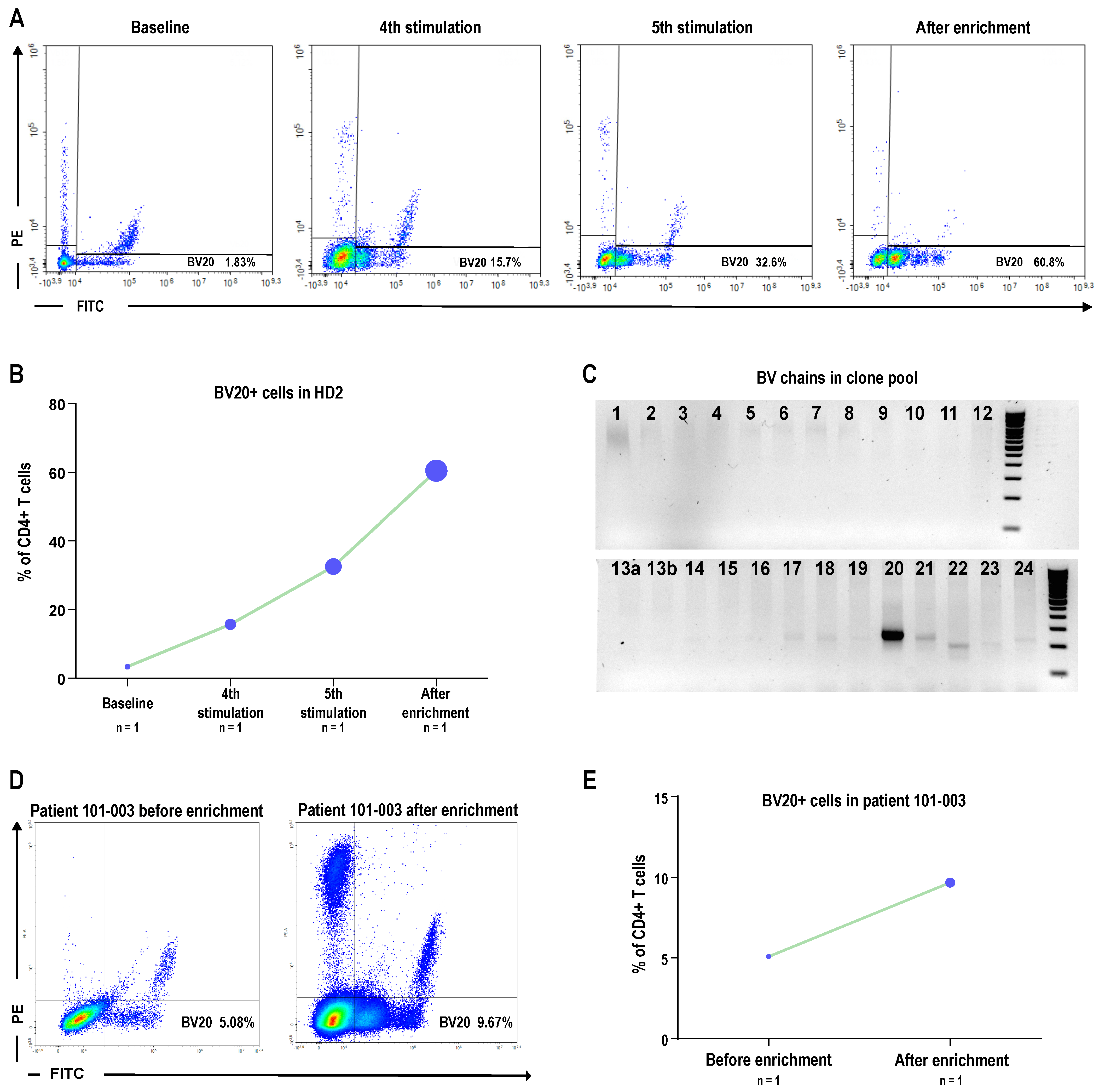 Vaccines 13 00390 g007 Vaccines 13 00390 g007