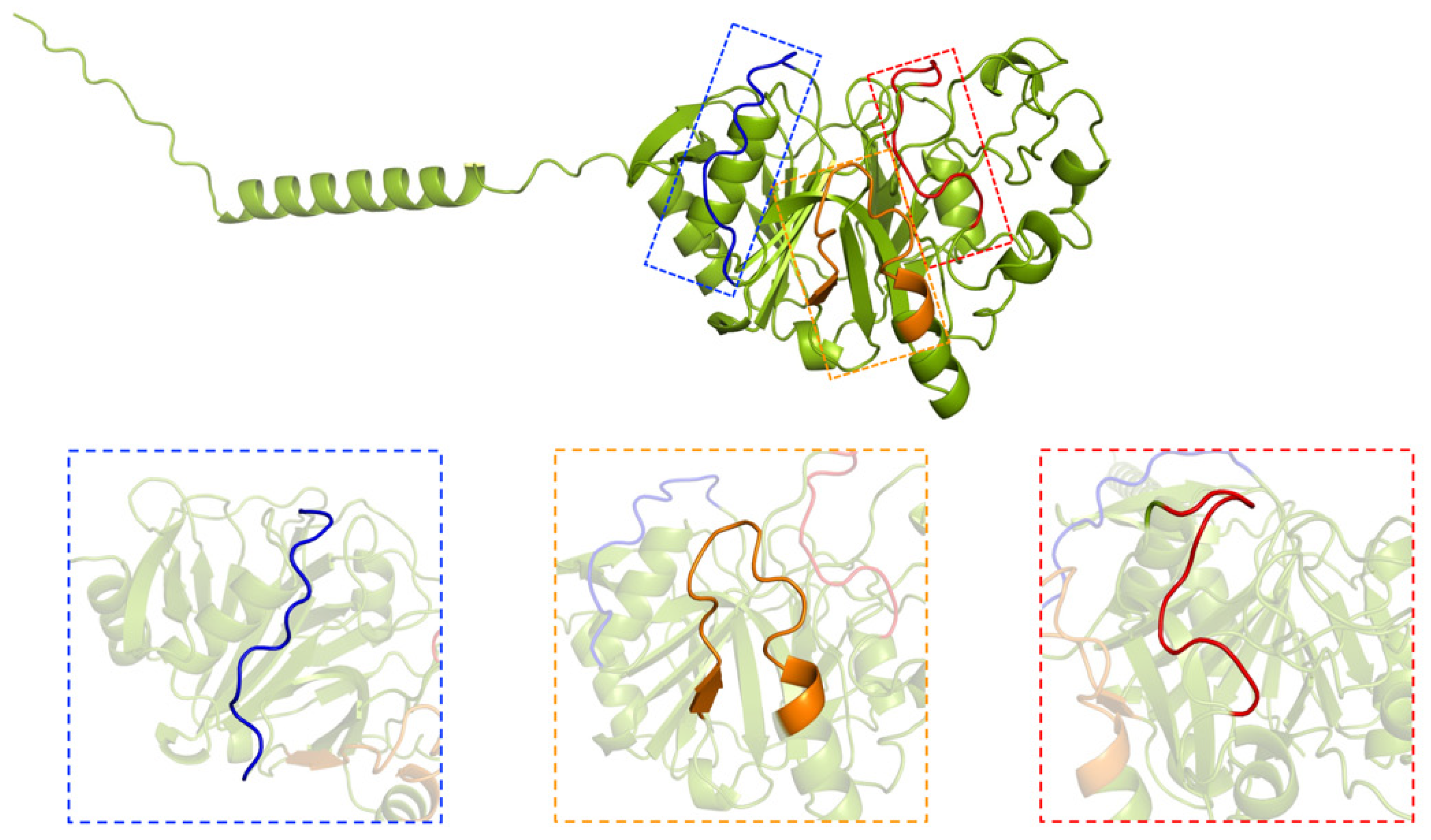 Vaccines 13 00400 g001