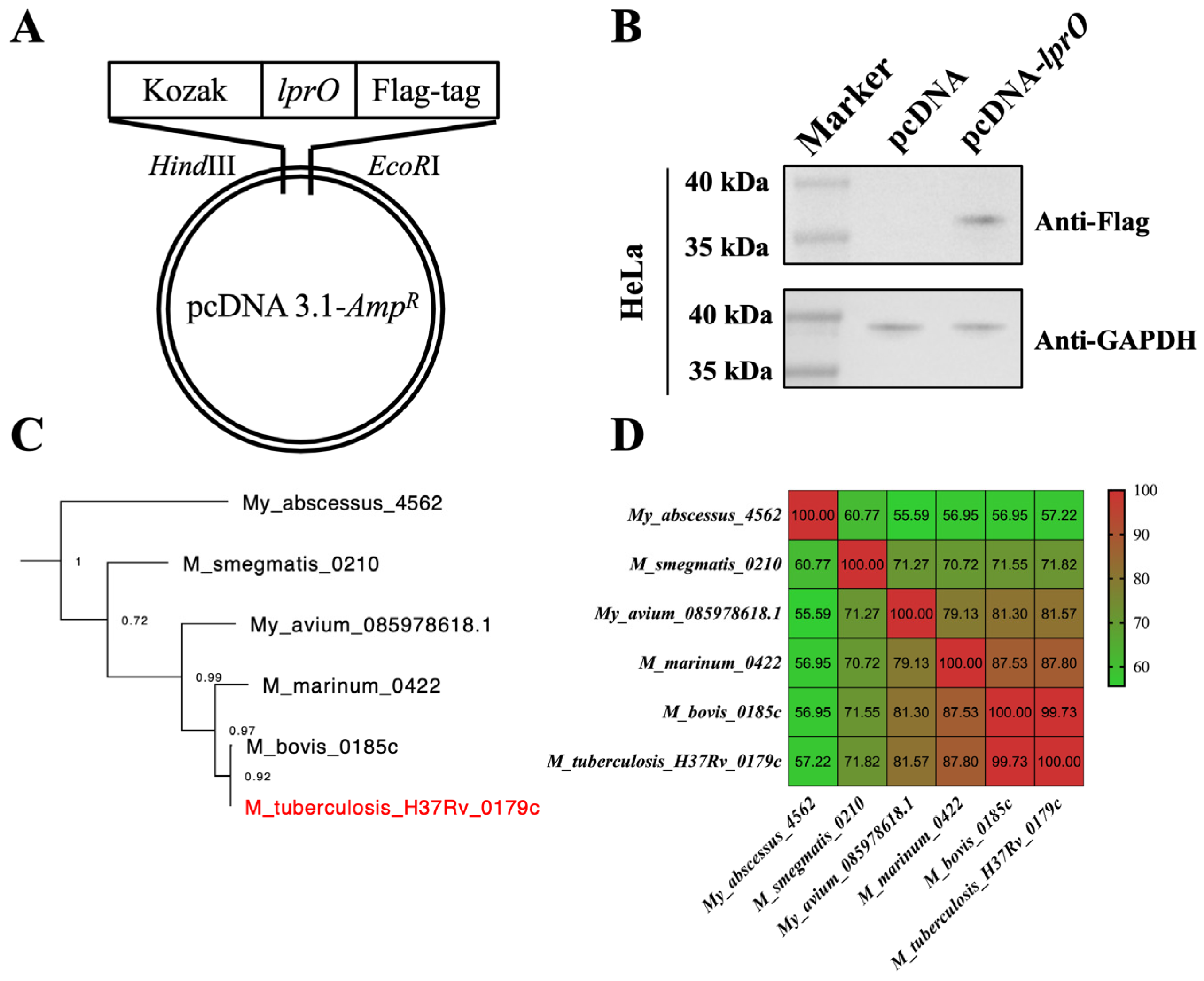 Vaccines 13 00400 g002