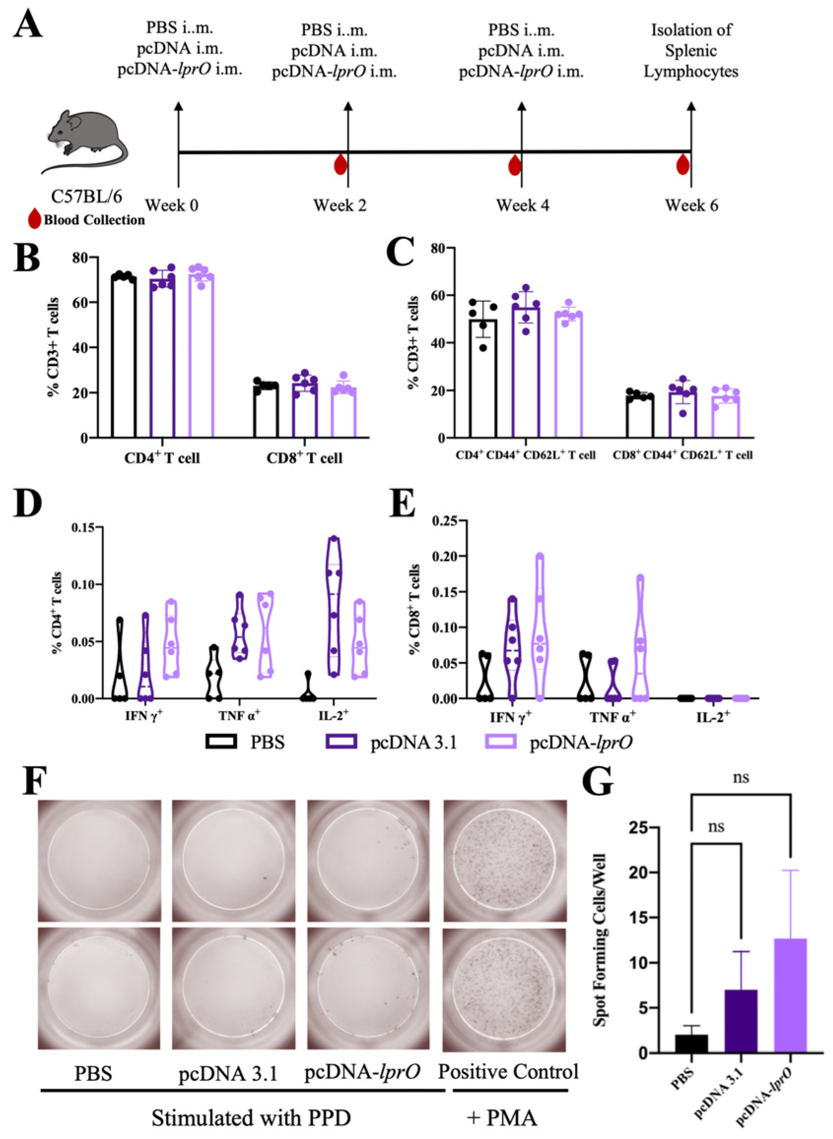 Vaccines 13 00400 g003