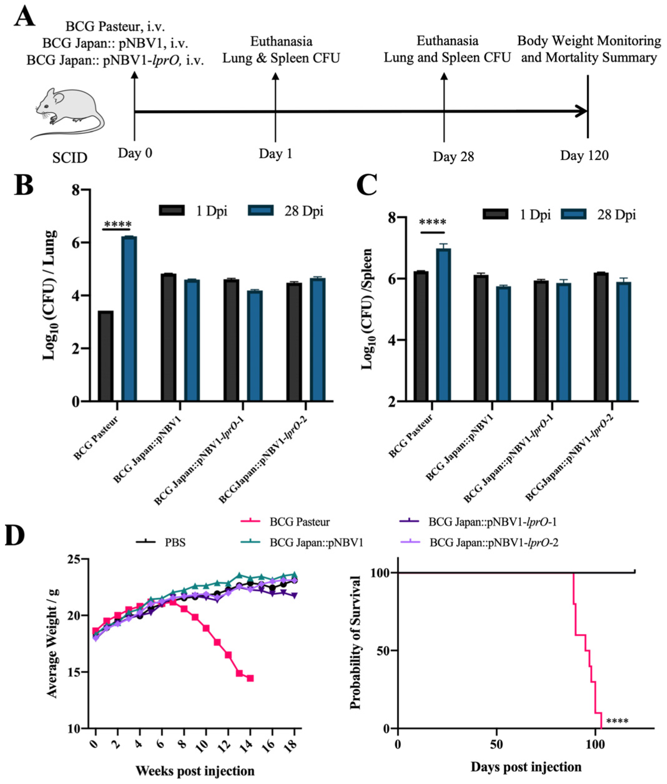 Vaccines 13 00400 g006
