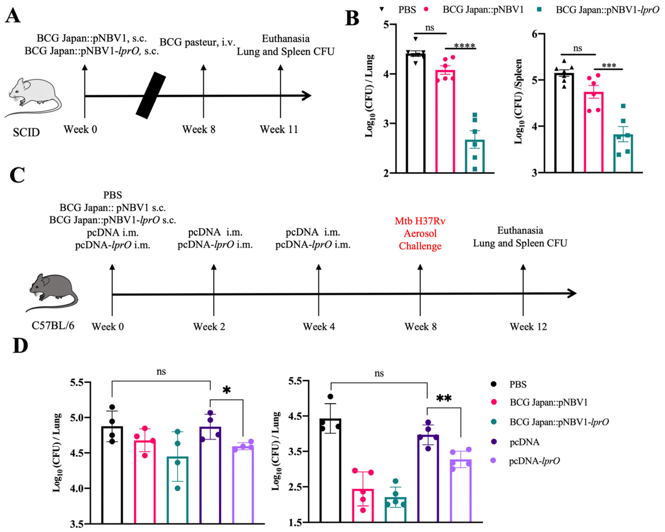 Vaccines 13 00400 g008