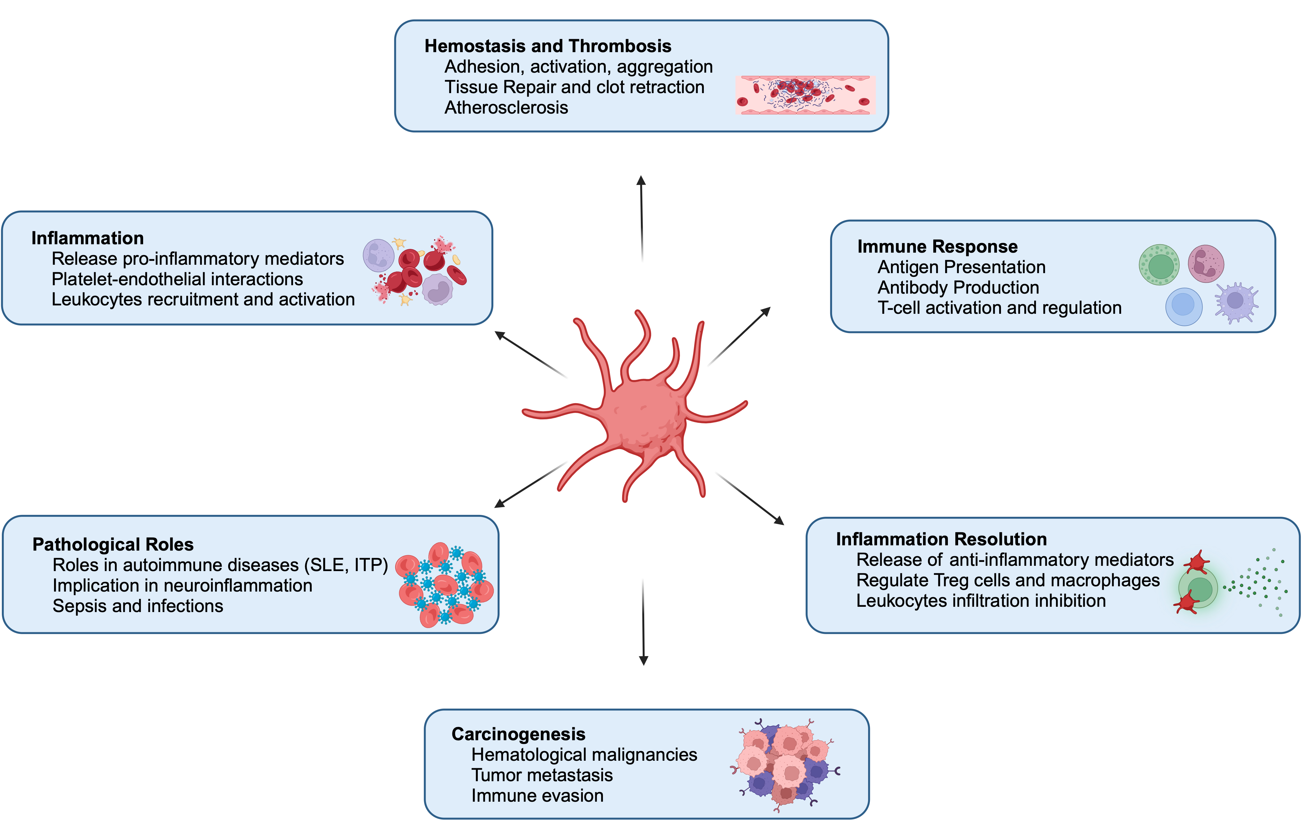 Vaccines 13 00403 g001