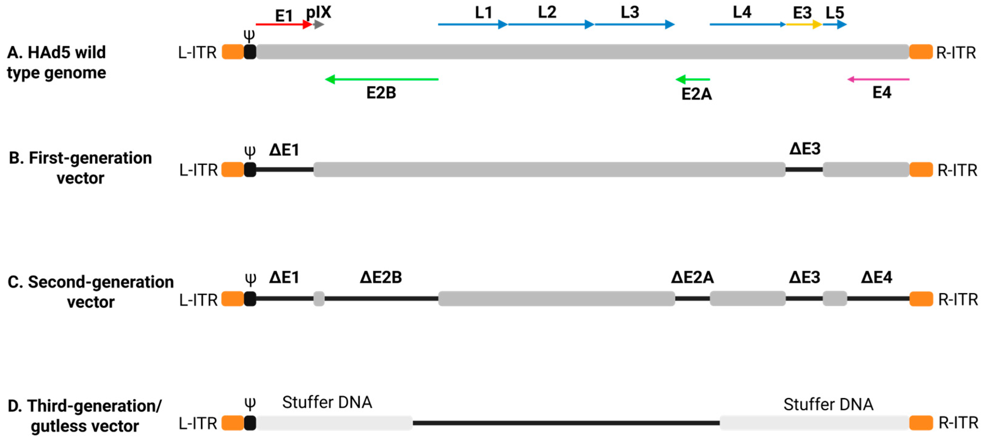 Vaccines 13 00406 g002