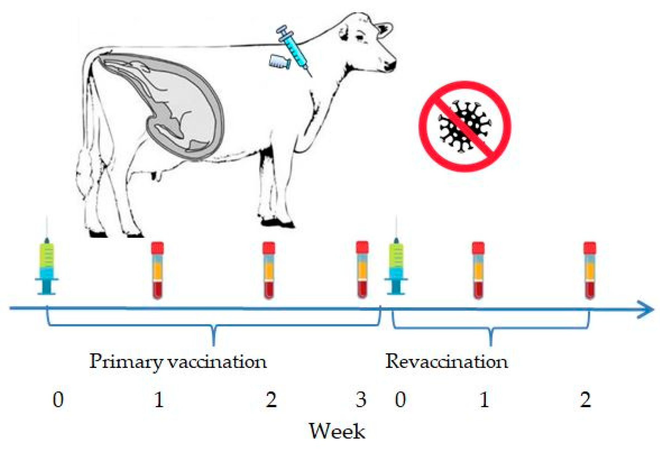 Vaccines 13 00408 g001
