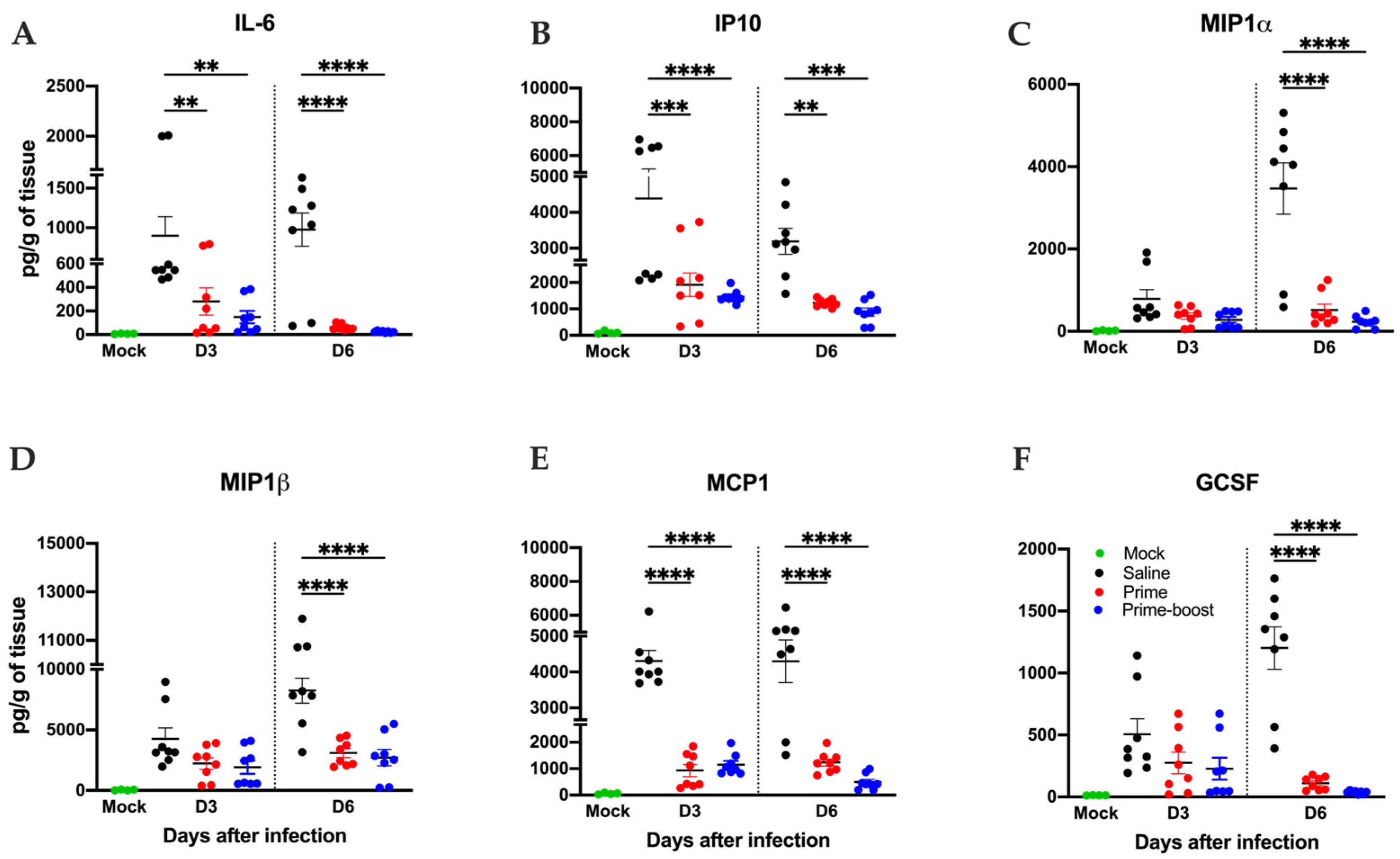 Vaccines 13 00411 g008