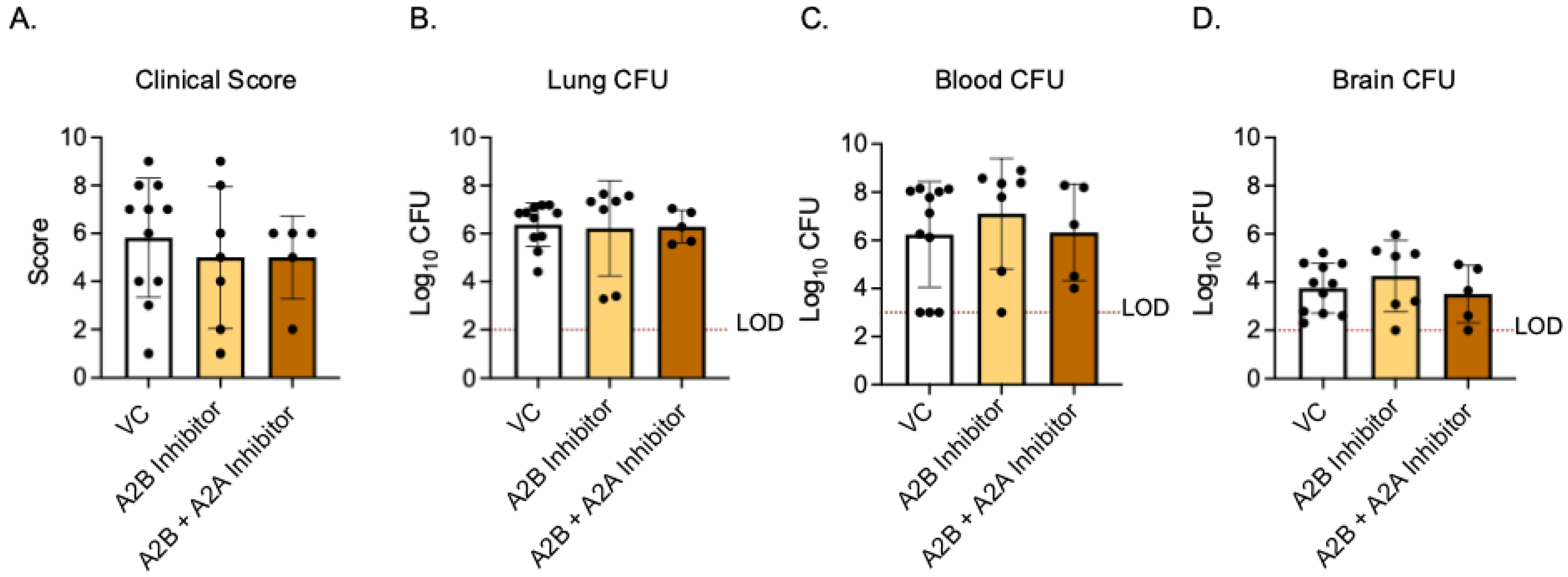 Vaccines 13 00414 g007