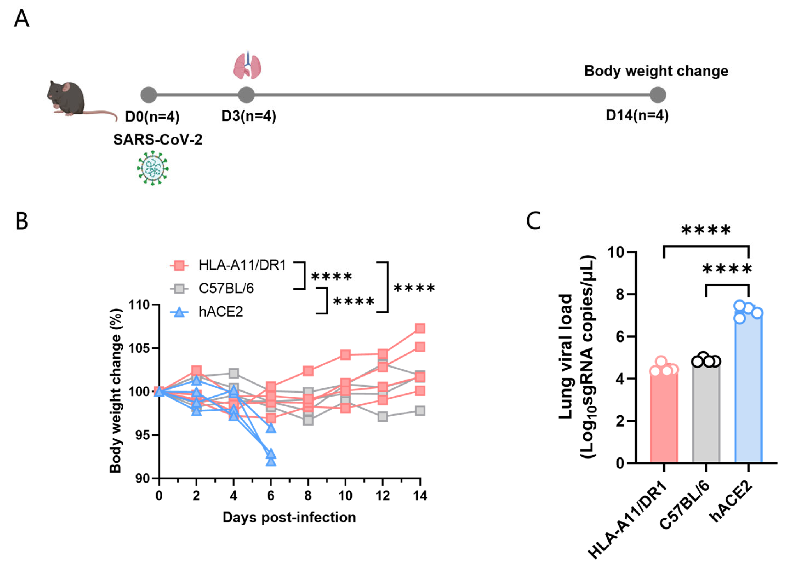 Vaccines 13 00416 g001
