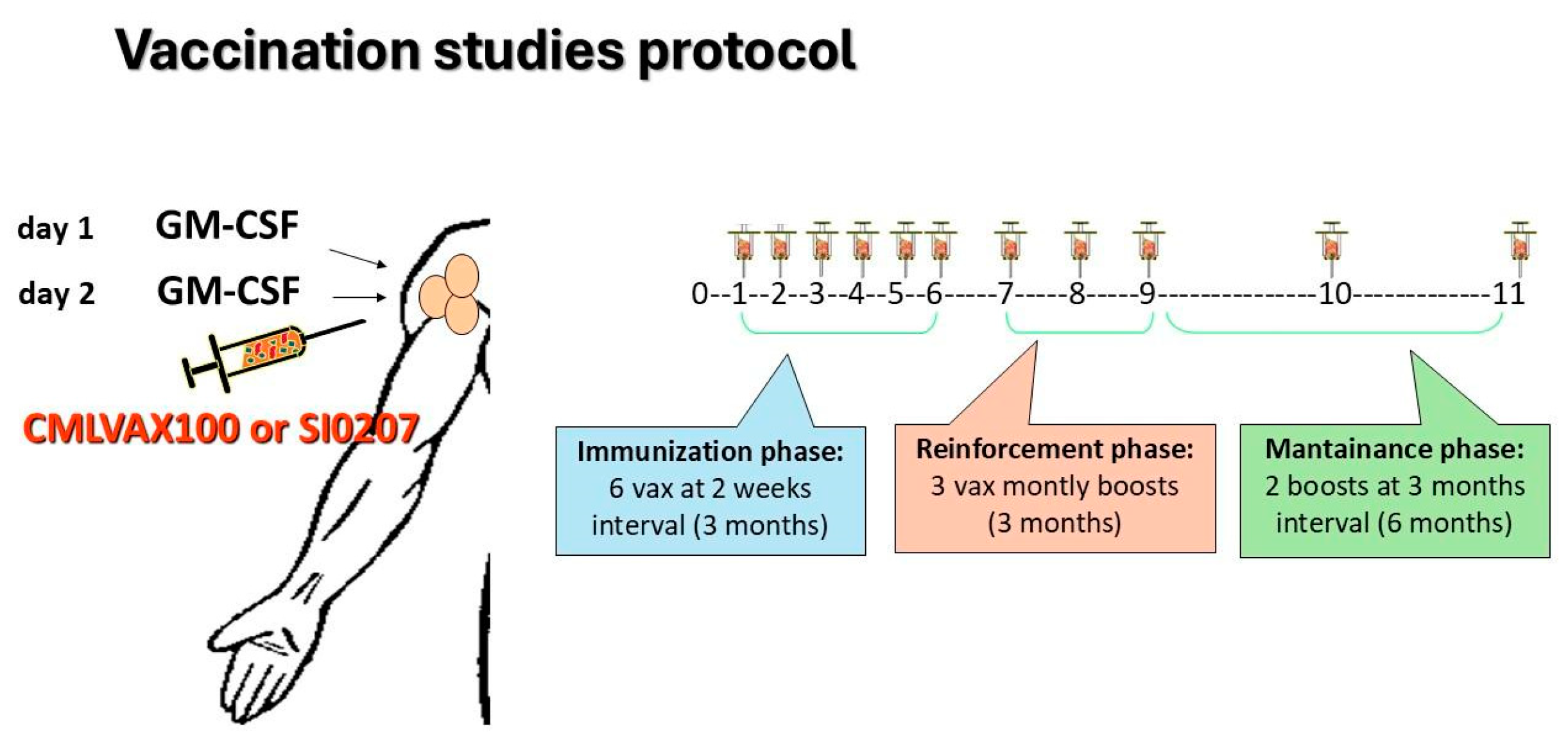Vaccines 13 00419 g001