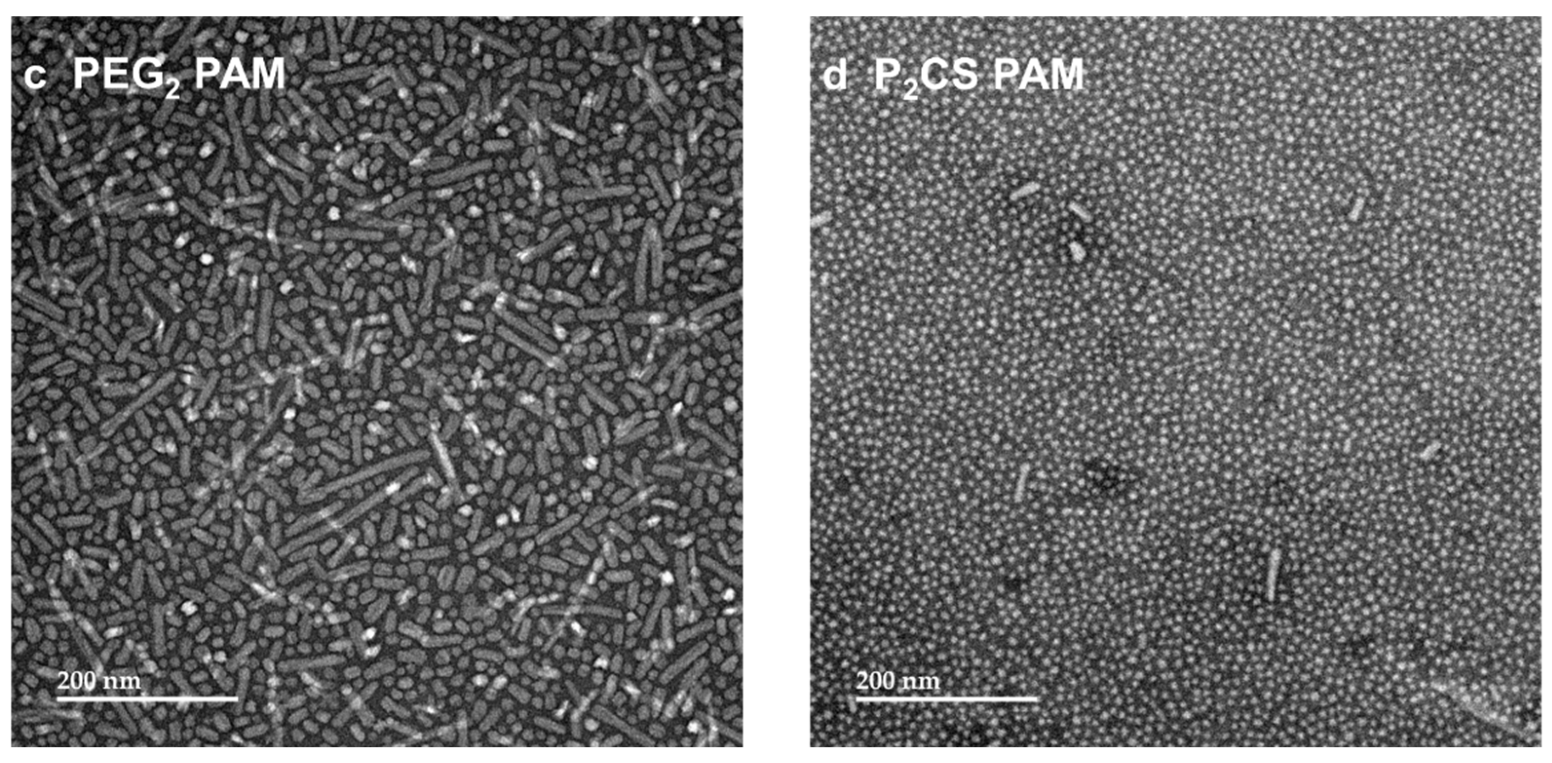Vaccines 13 00422 g003b
