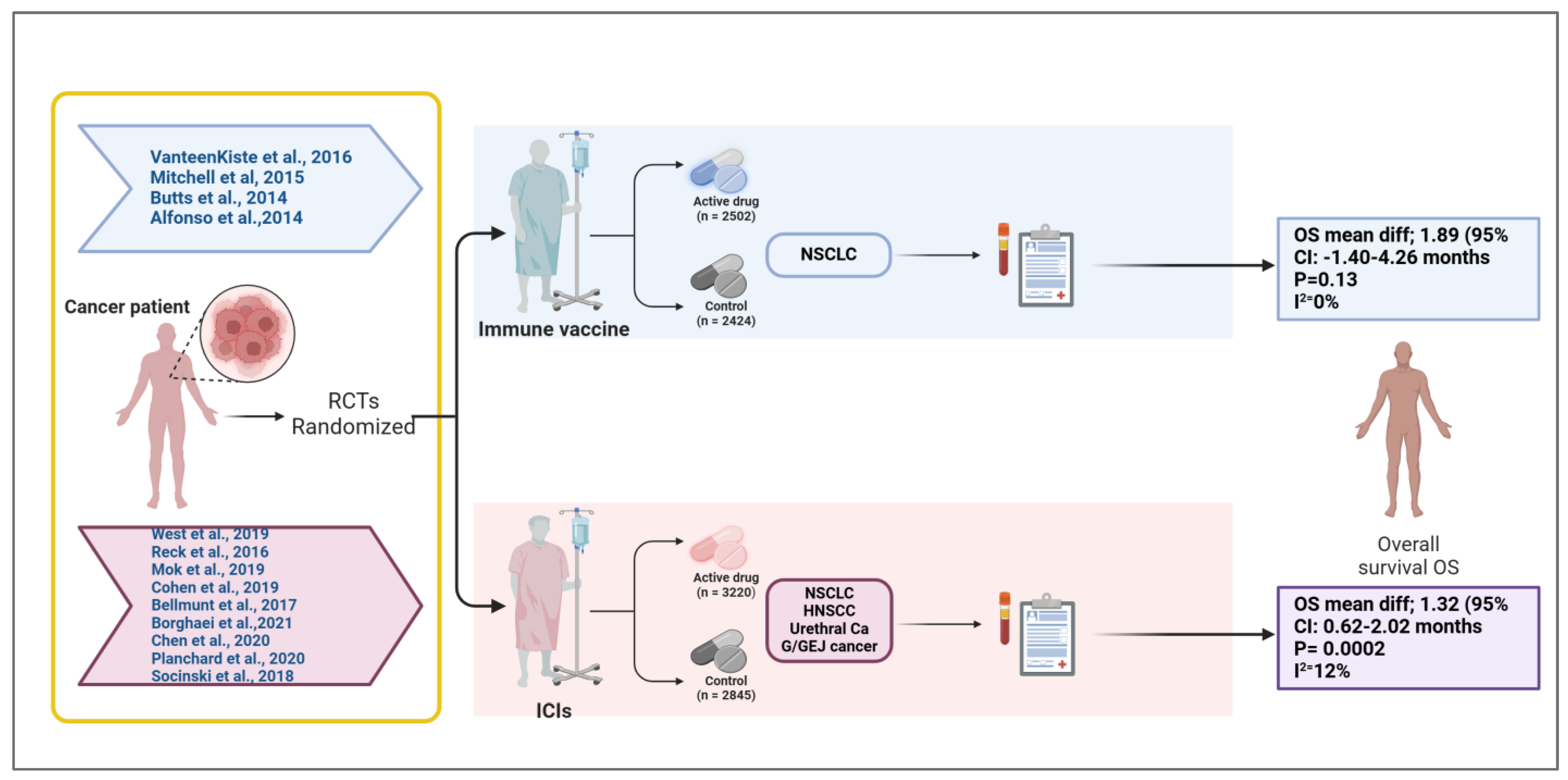 Vaccines 13 00423 g006