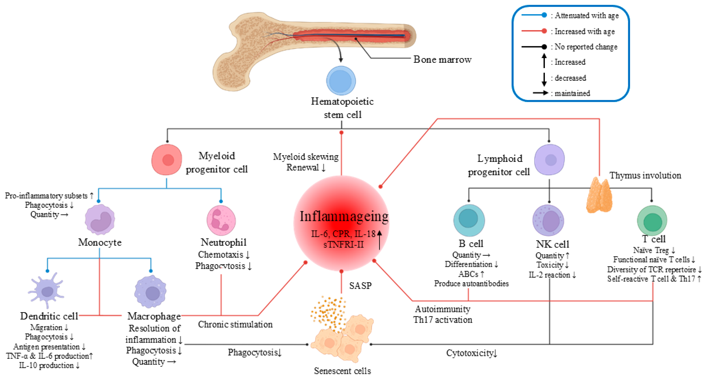 Vaccines 13 00431 g003