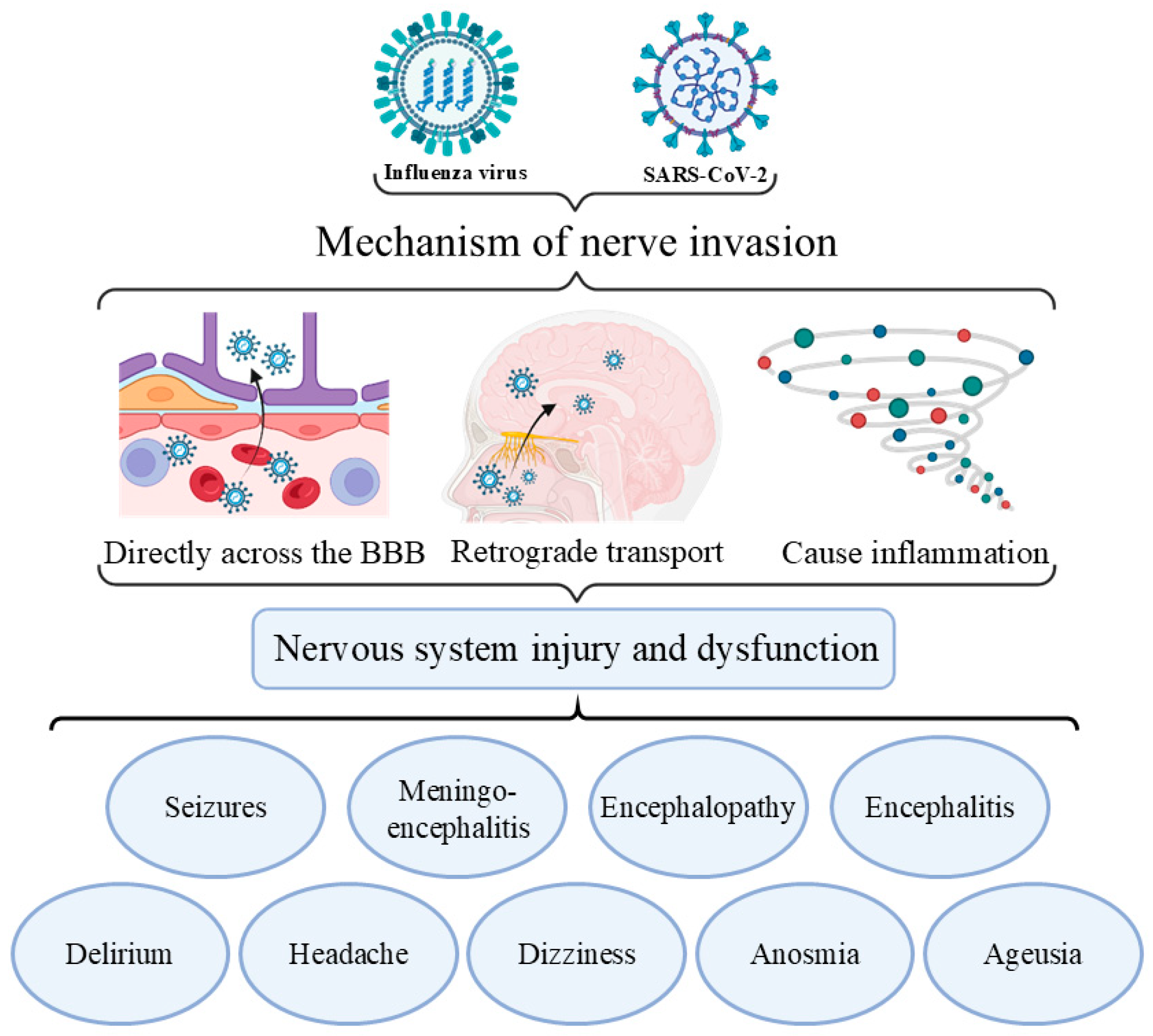 Vaccines 13 00431 g008