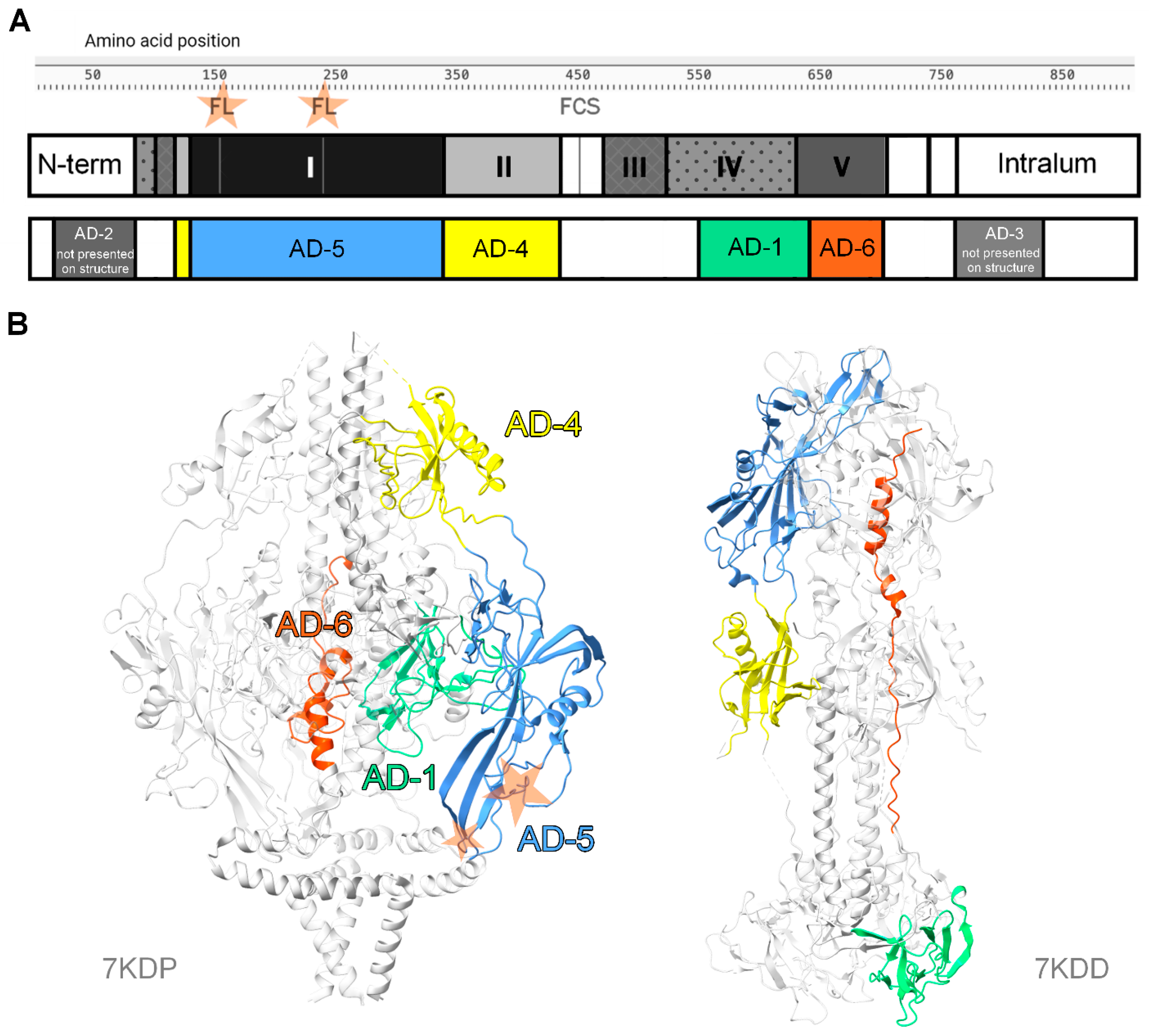 Vaccines 13 00435 g001 Vaccines 13 00435 g001