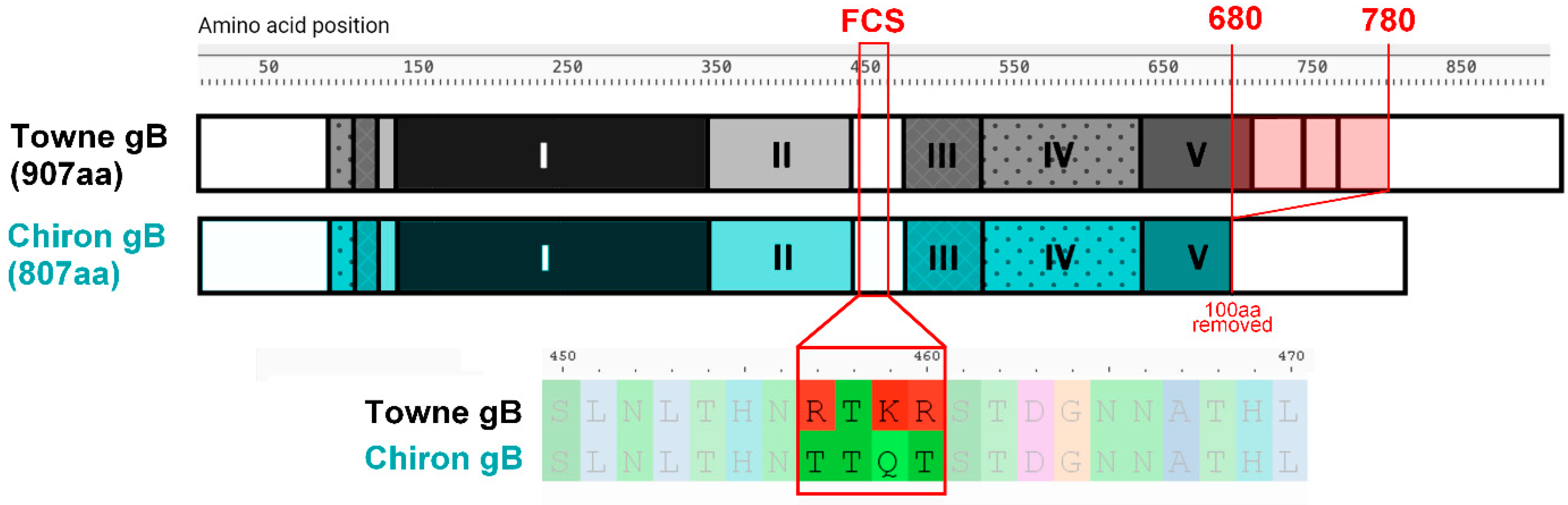 Vaccines 13 00435 g002 Vaccines 13 00435 g002