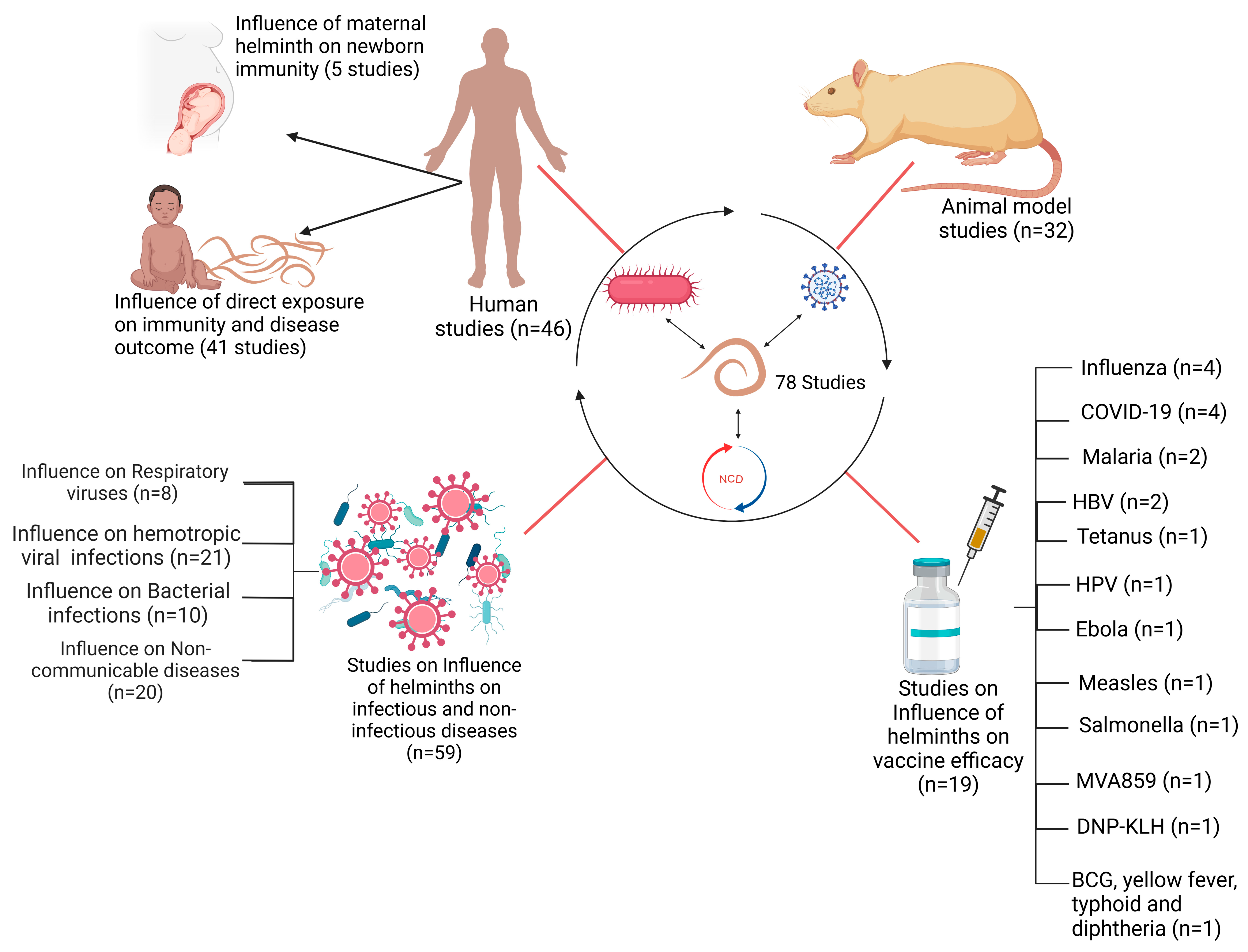 Vaccines 13 00436 g002