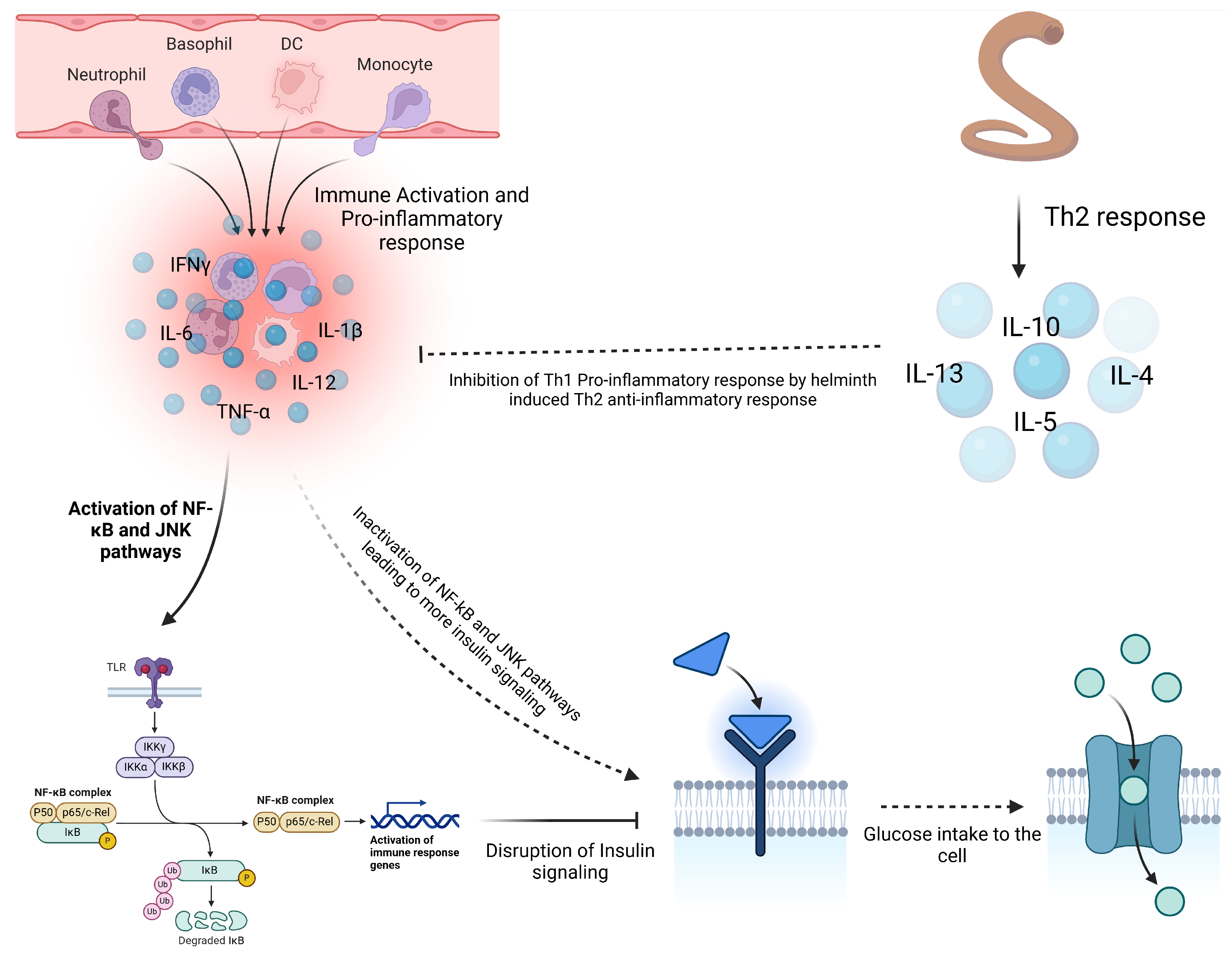 Vaccines 13 00436 g005