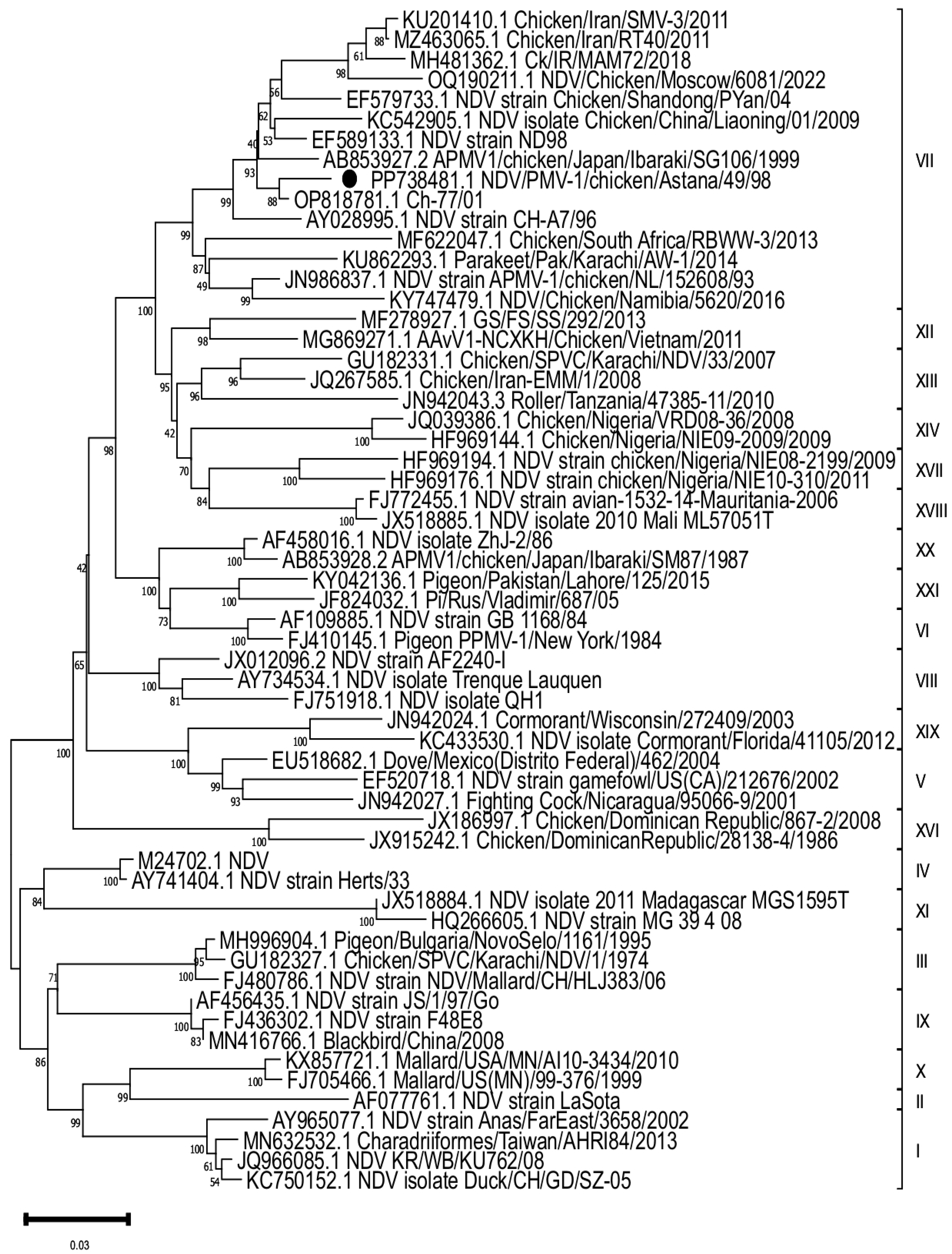 Vaccines 13 00440 g001
