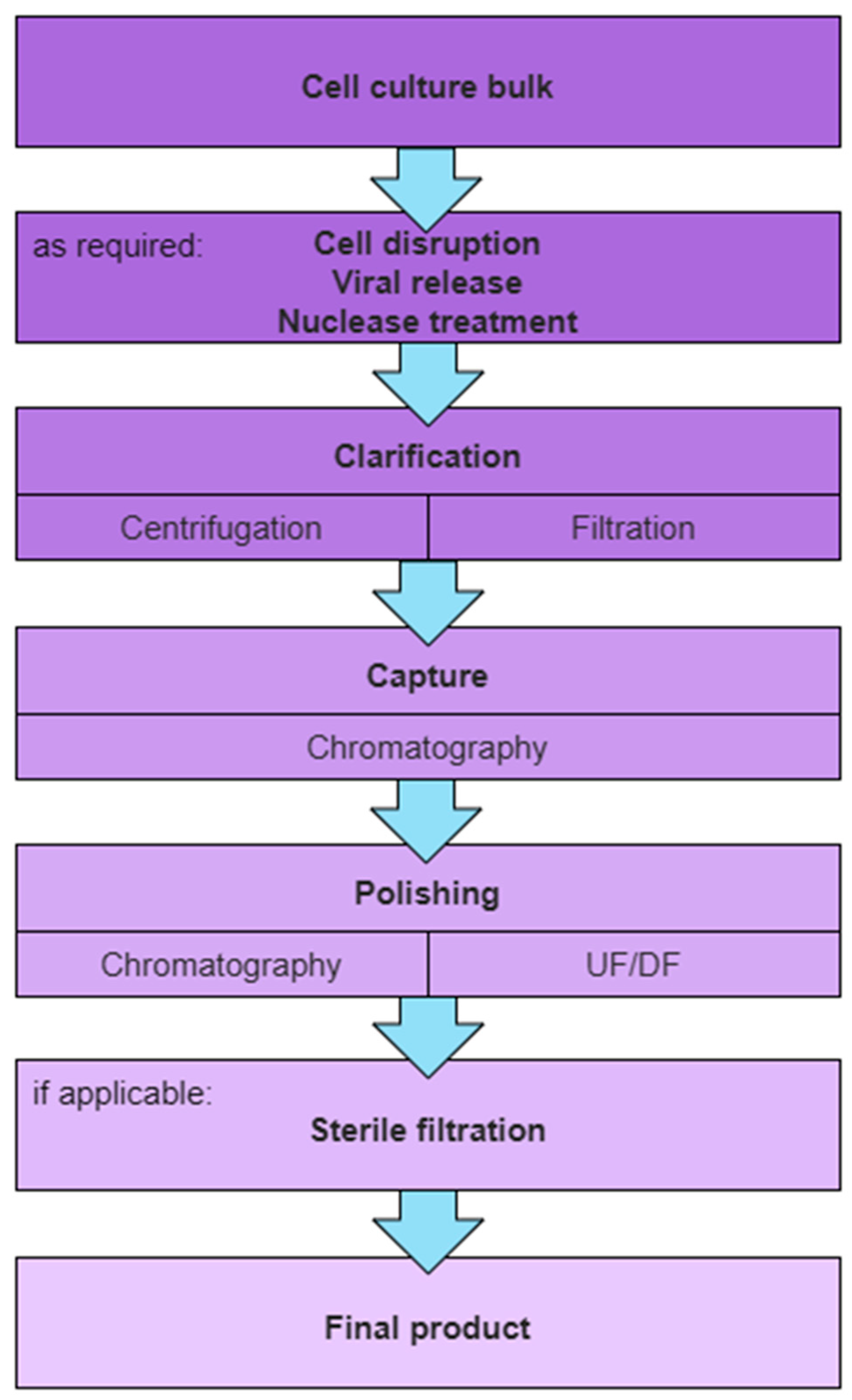 Vaccines 13 00444 g001 Vaccines 13 00444 g001
