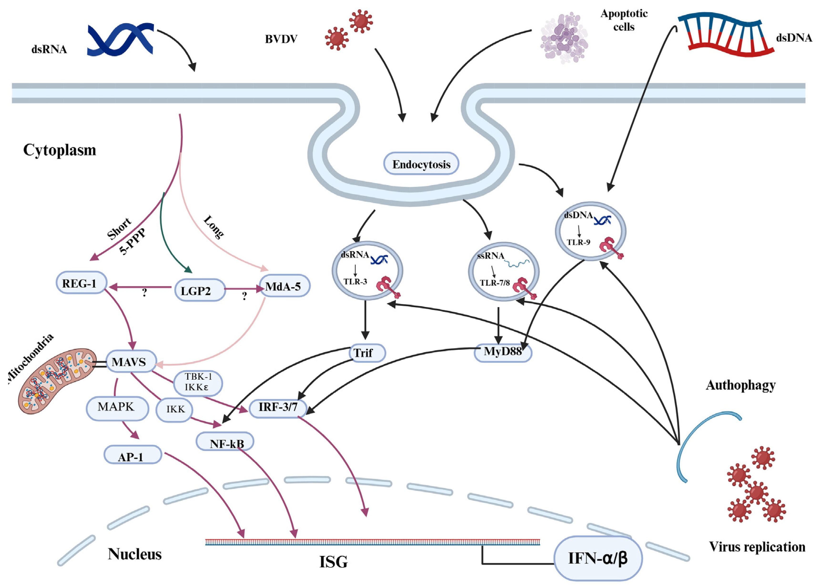 Vaccines 13 00456 g001