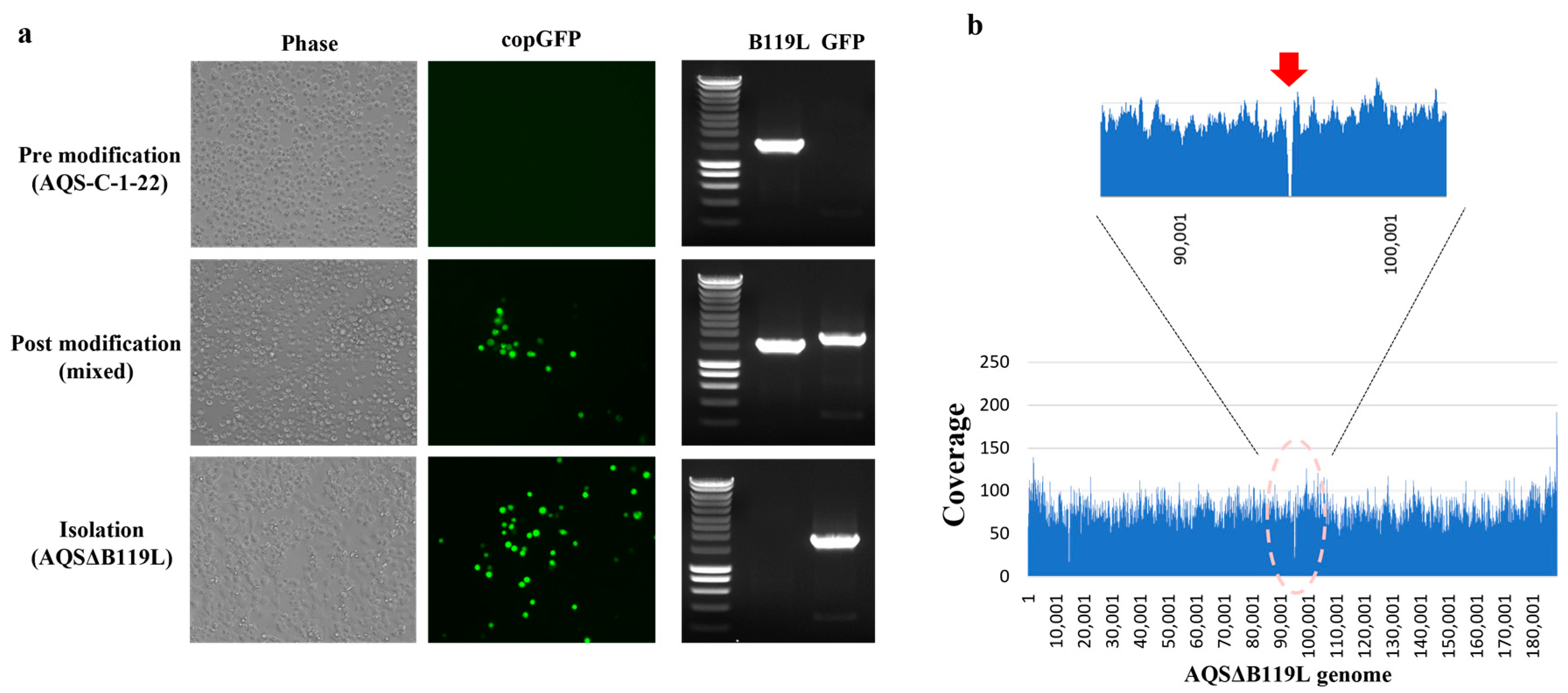 Vaccines 13 00462 g001
