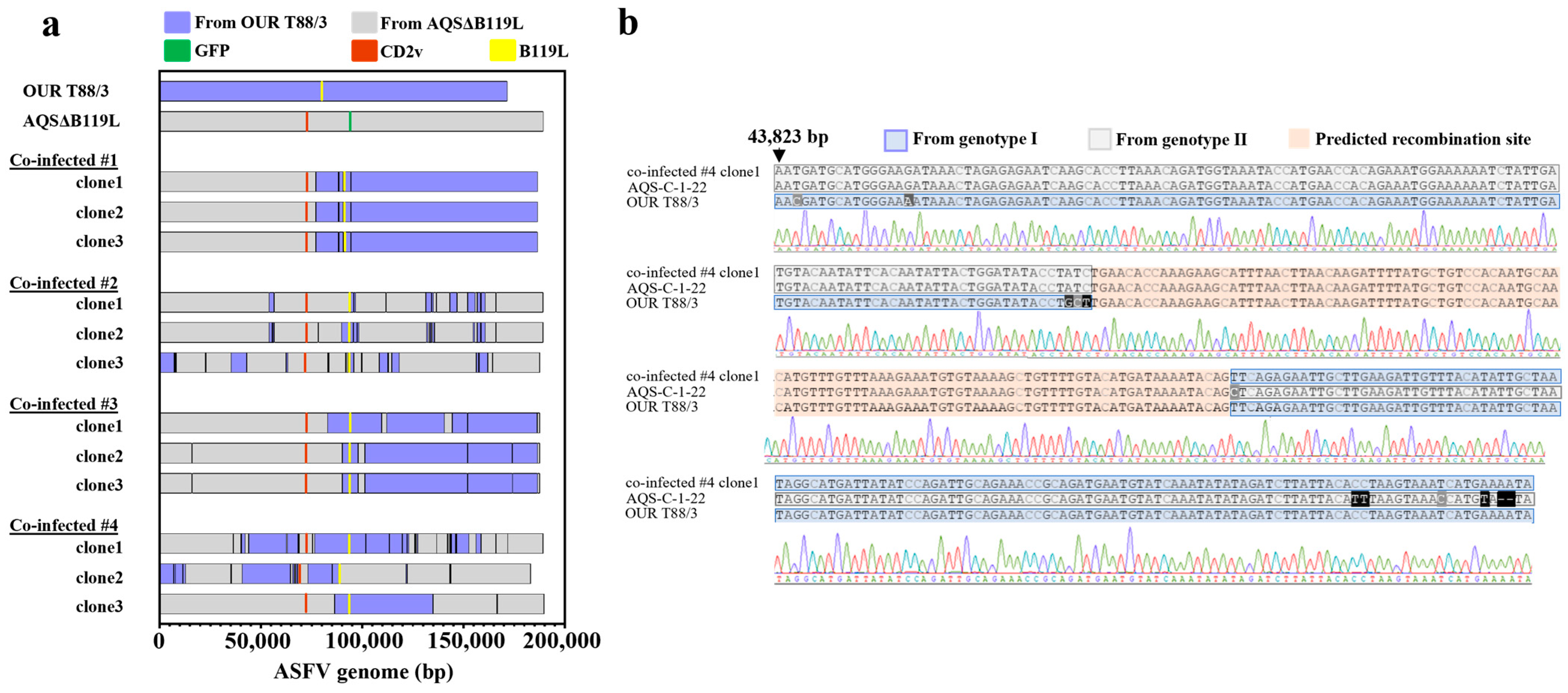 Vaccines 13 00462 g005