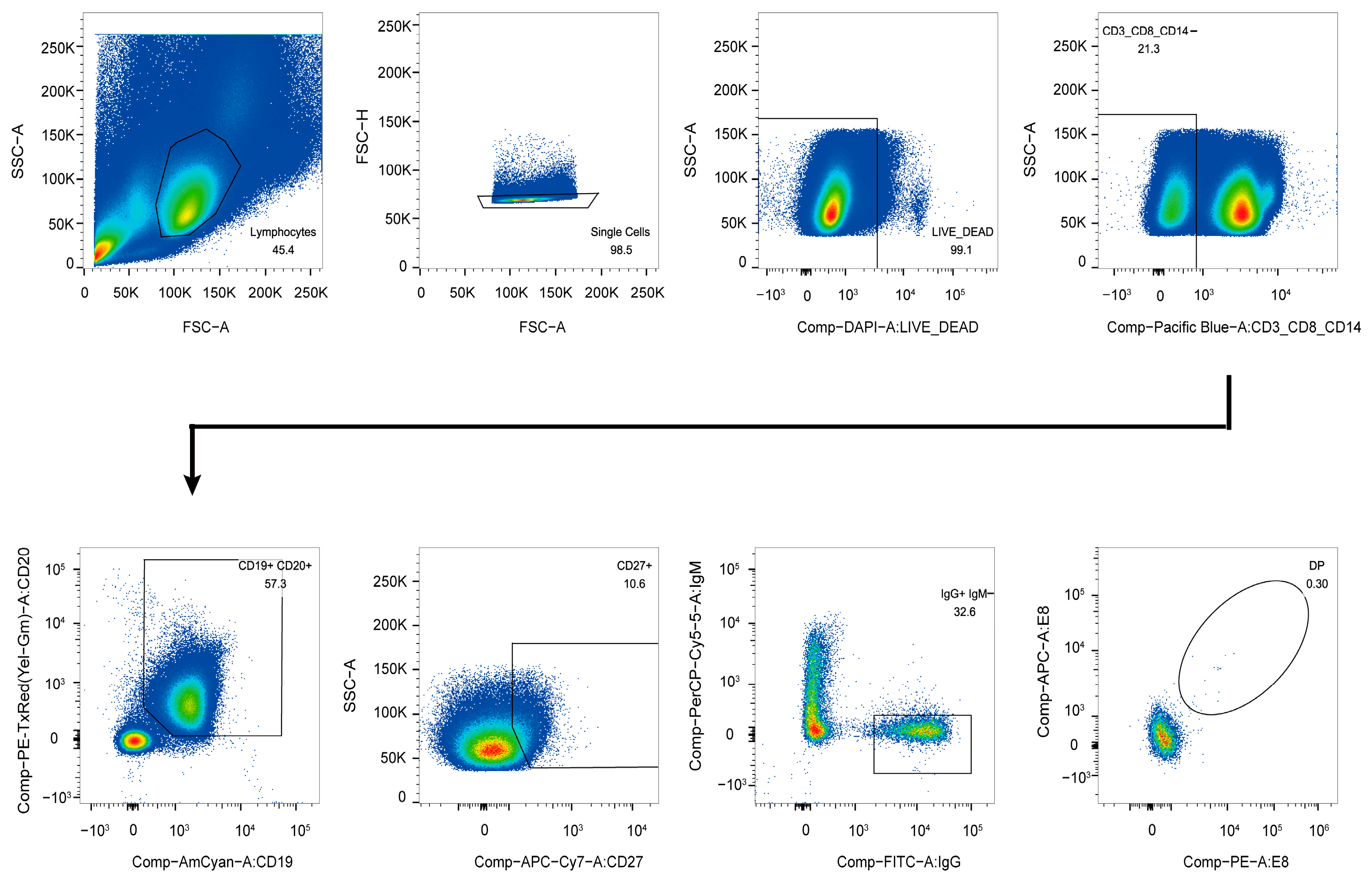 Vaccines 13 00471 g001