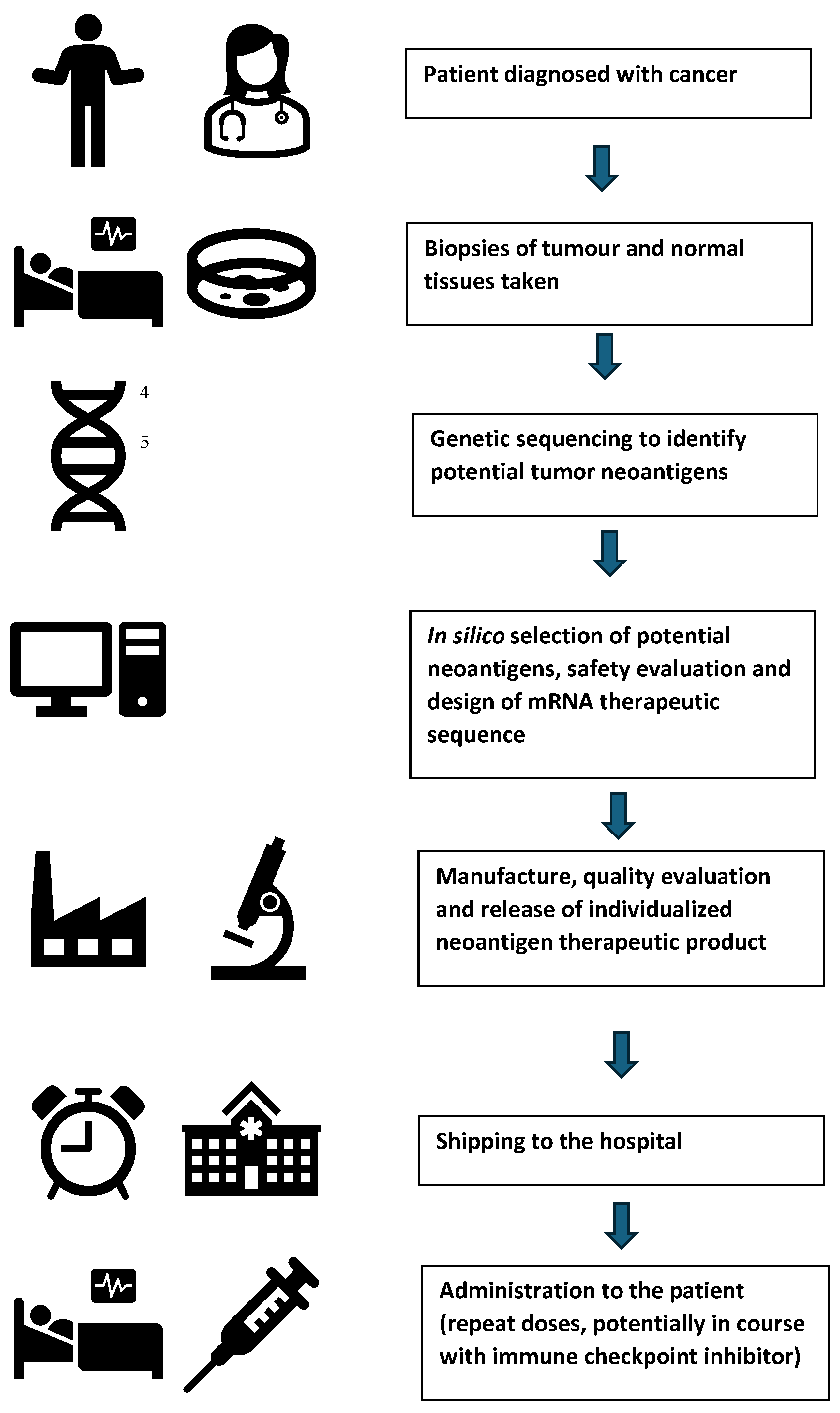 Vaccines 13 00473 g001