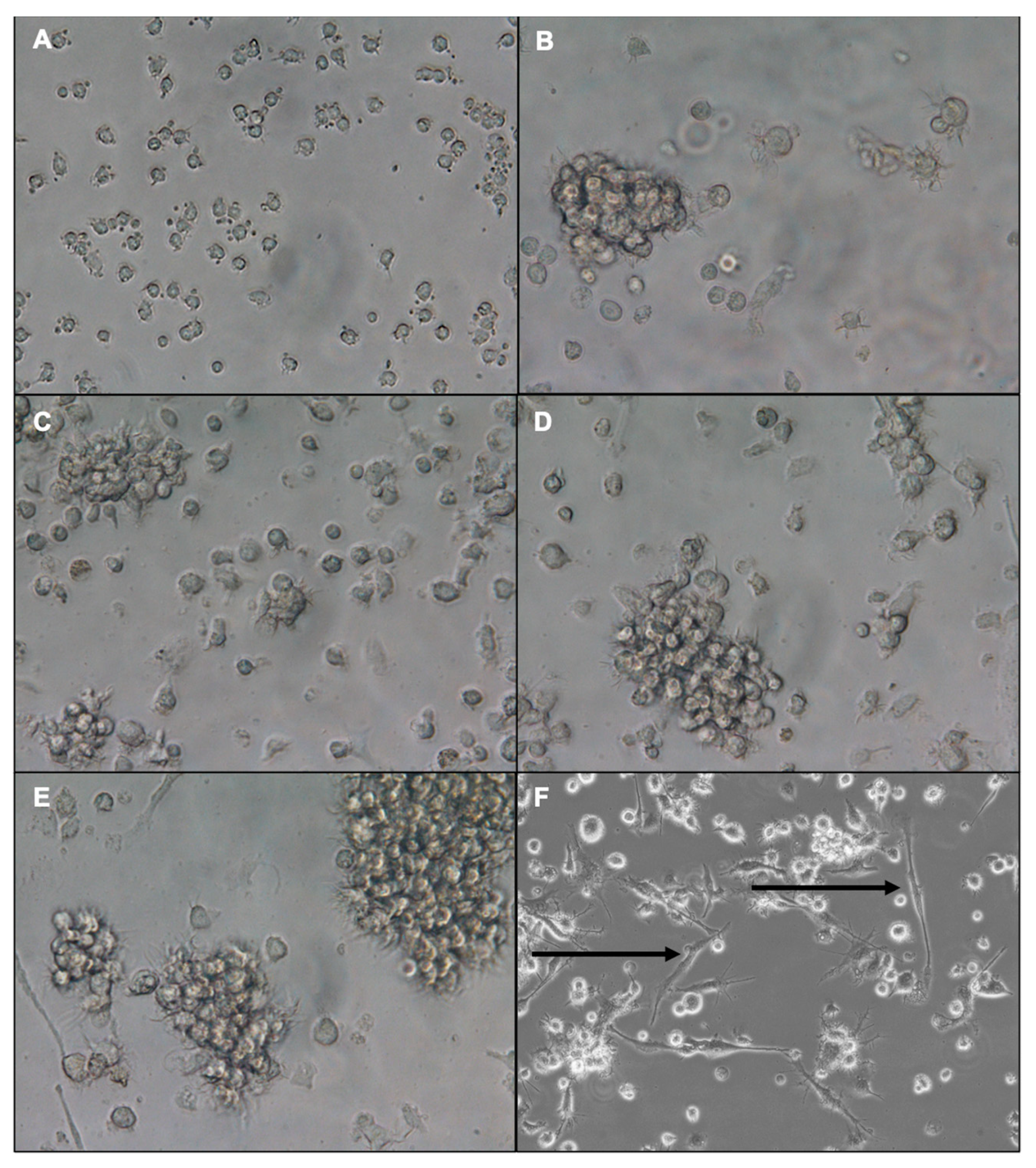 Vaccines 13 00474 g002 Vaccines 13 00474 g002