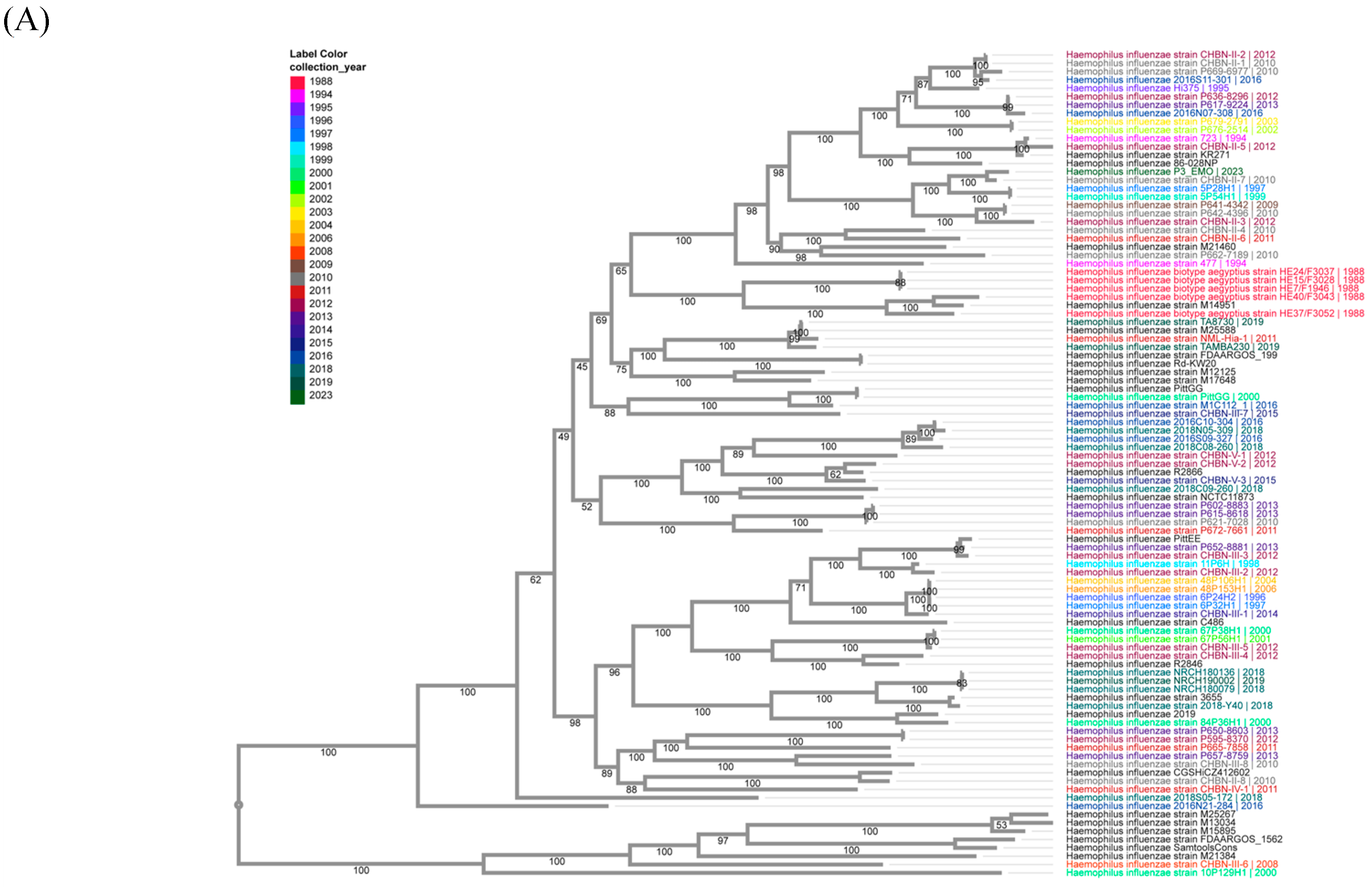 Vaccines 13 00491 g003a