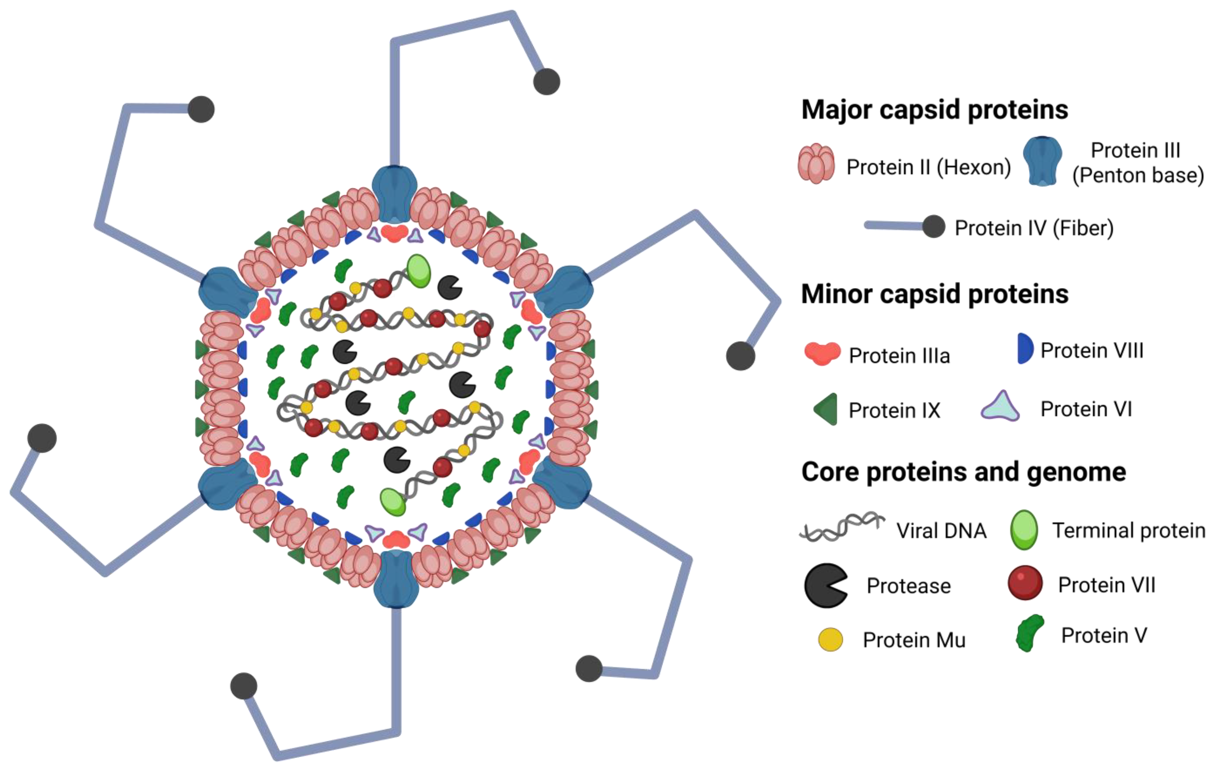 Vaccines 13 00494 g002 Vaccines 13 00494 g002