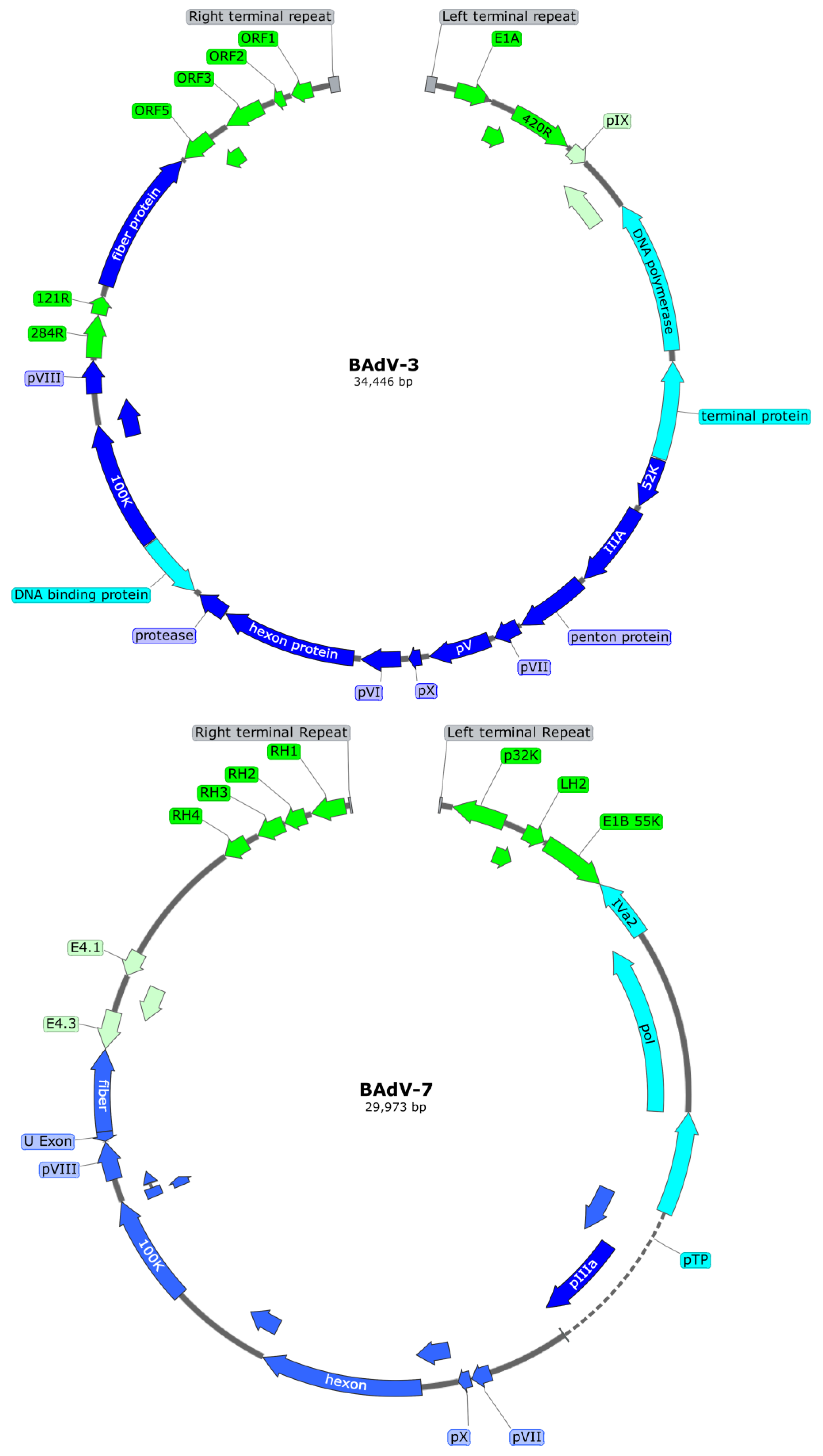Vaccines 13 00494 g003 Vaccines 13 00494 g003