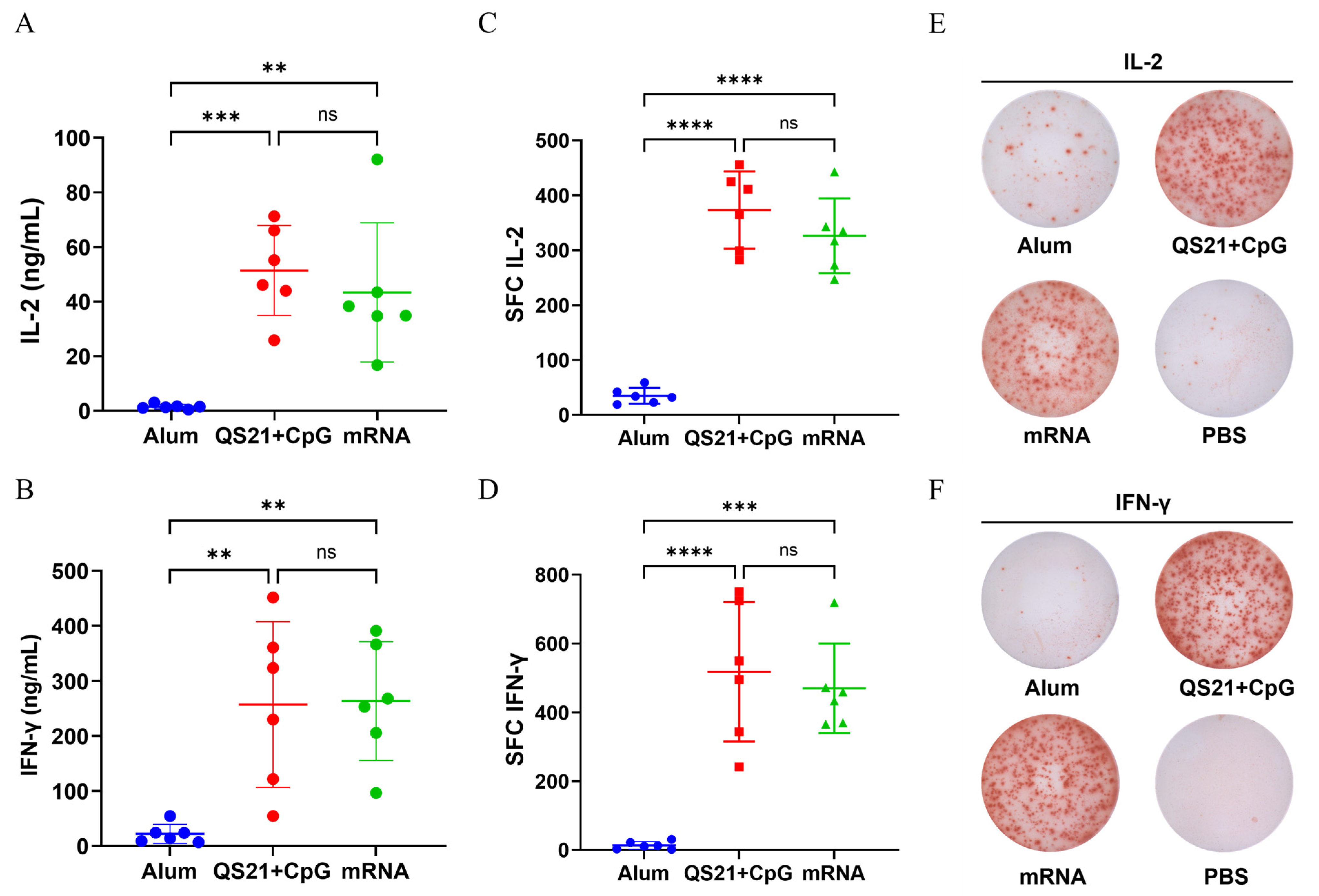 Vaccines 13 00497 g003