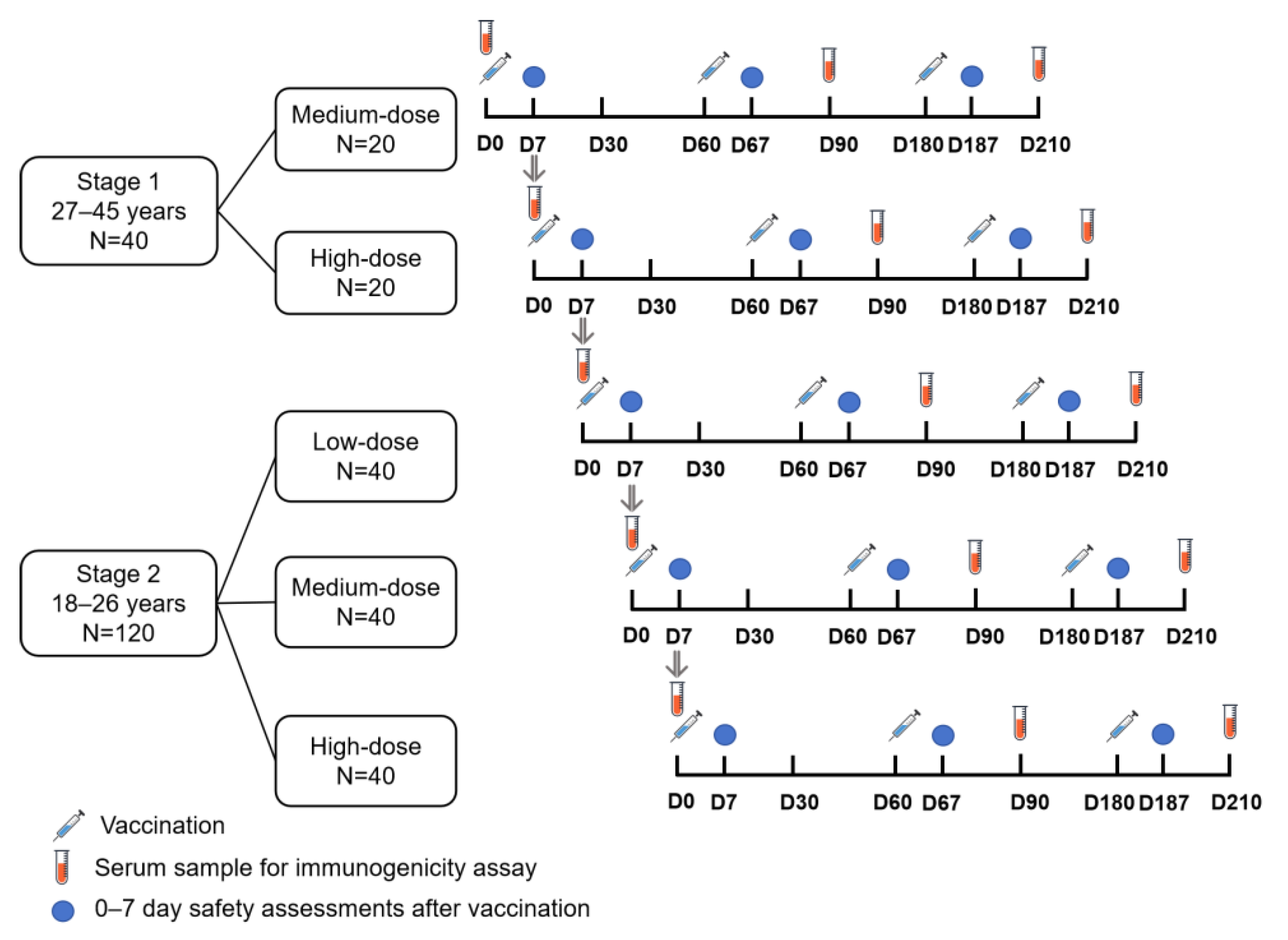 Vaccines 13 00511 g001