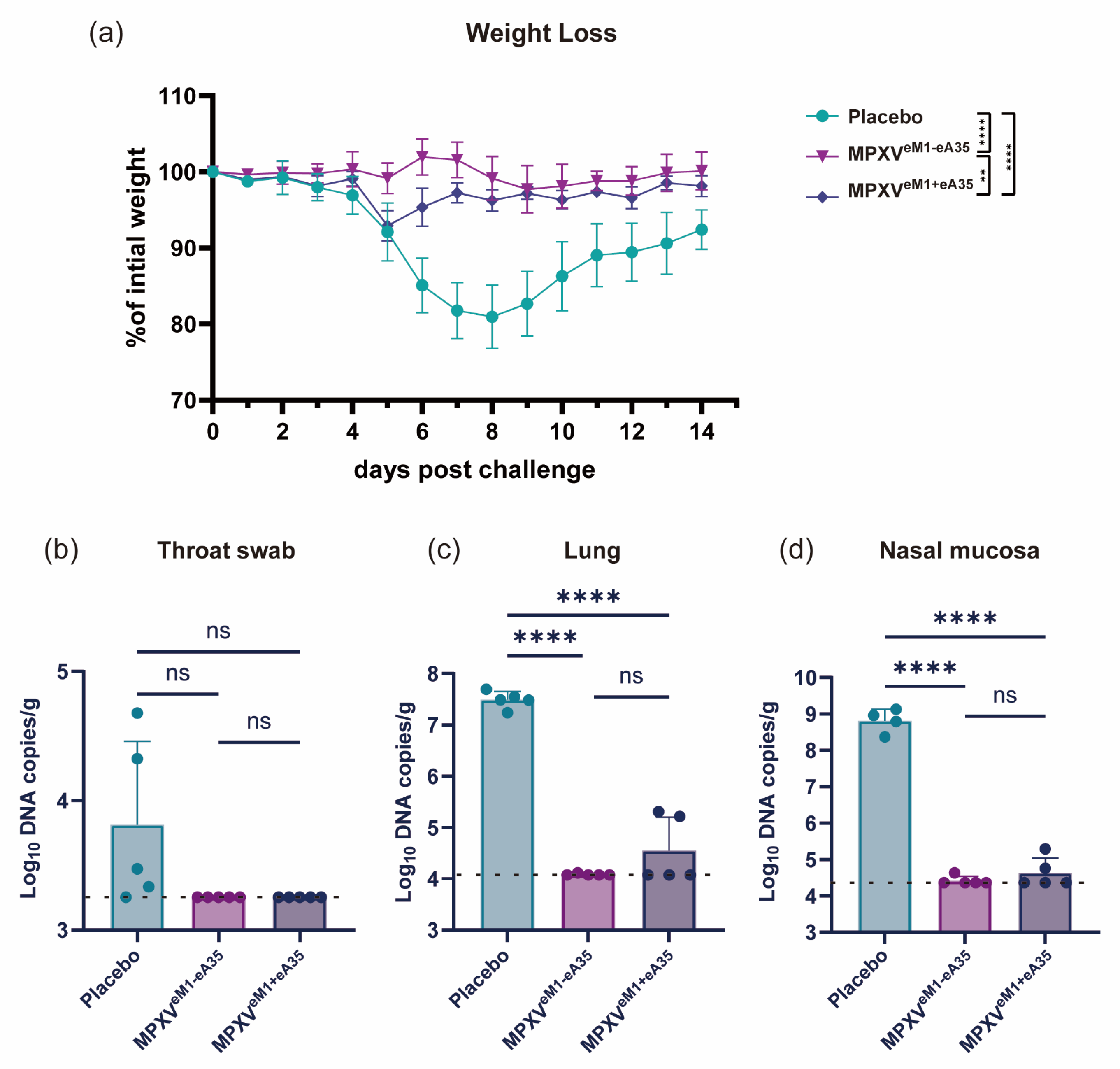 Vaccines 13 00514 g002
