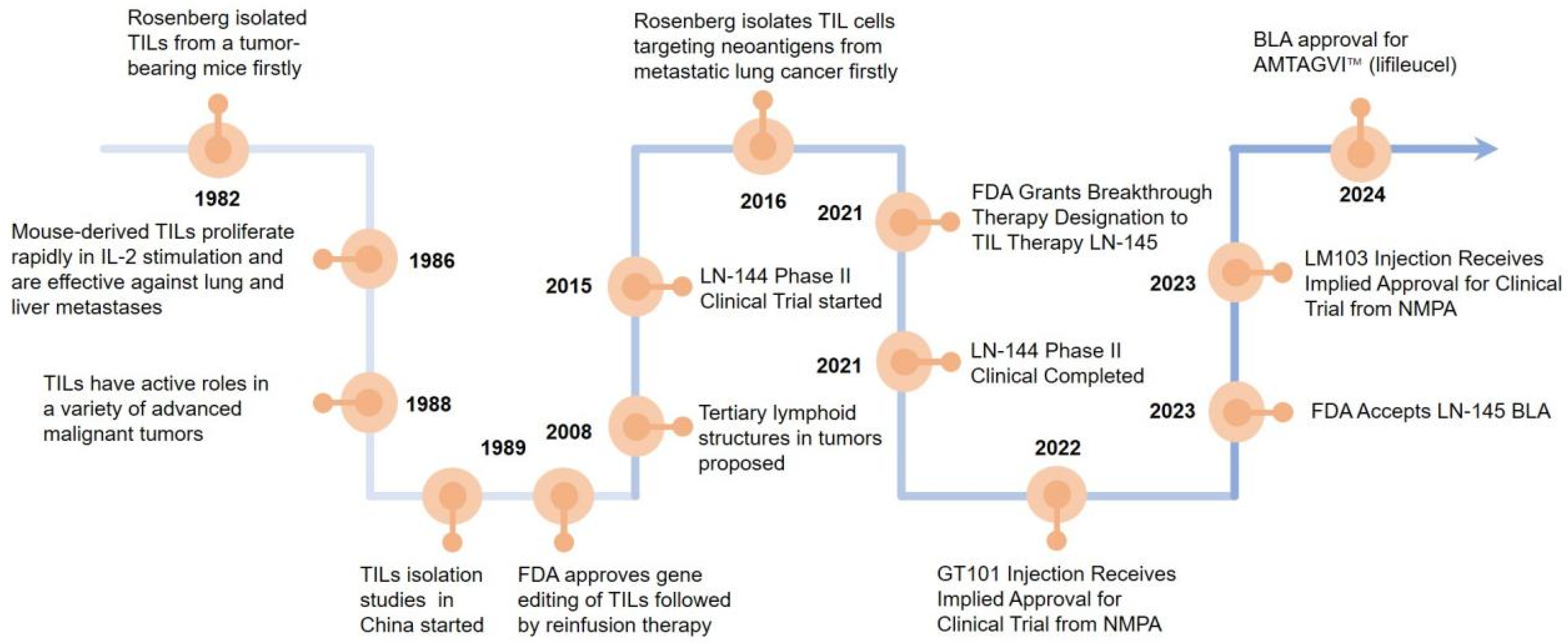 Vaccines 13 00521 g001