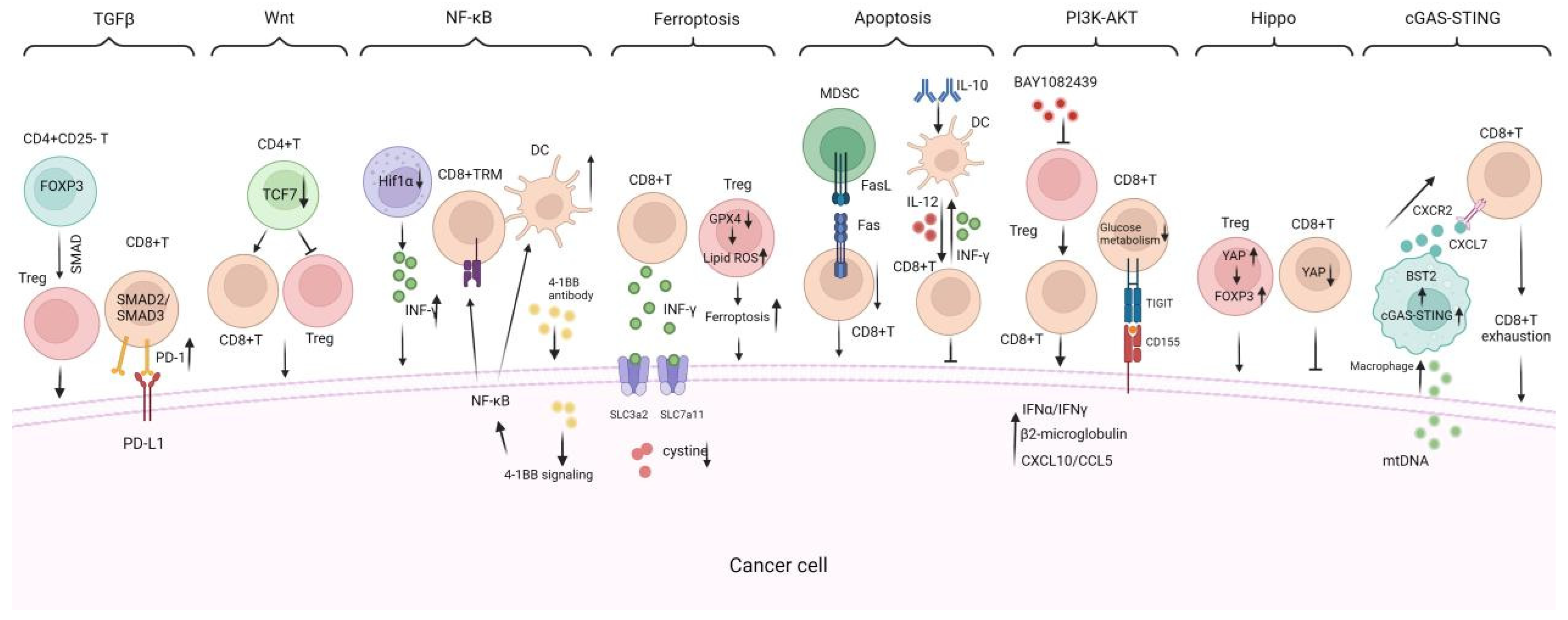 Vaccines 13 00521 g004